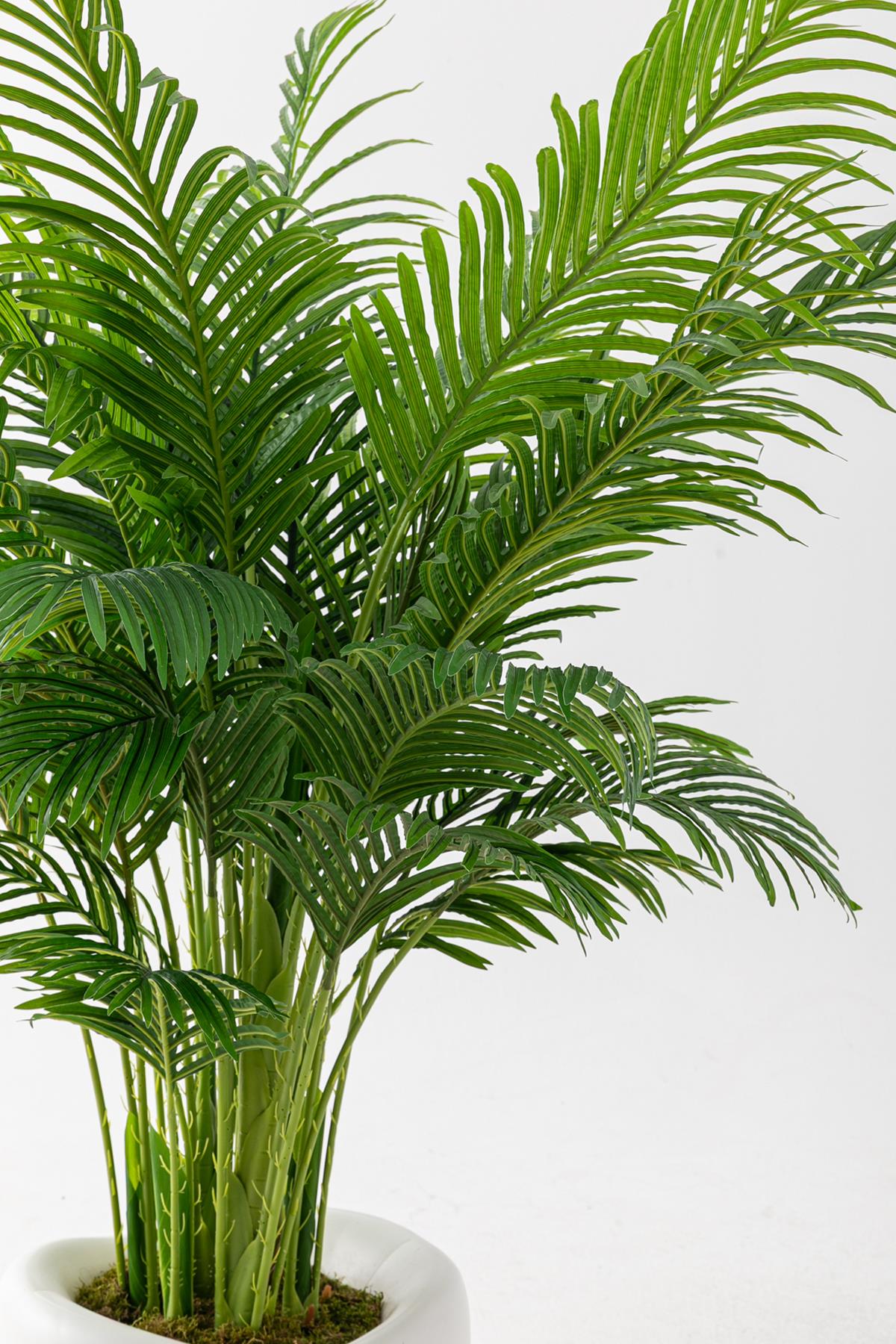 Yapay Jumbo Areka 220 Cm 32 Dal