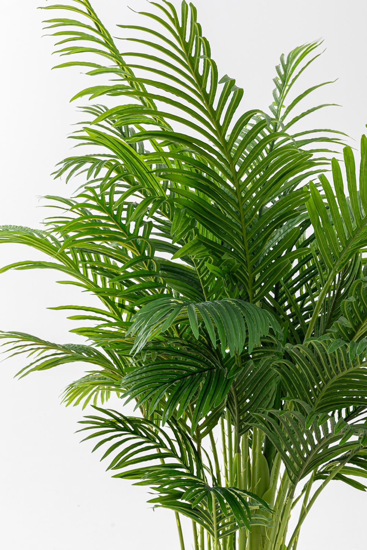 Yapay Jumbo Areka 220 Cm 32 Dal