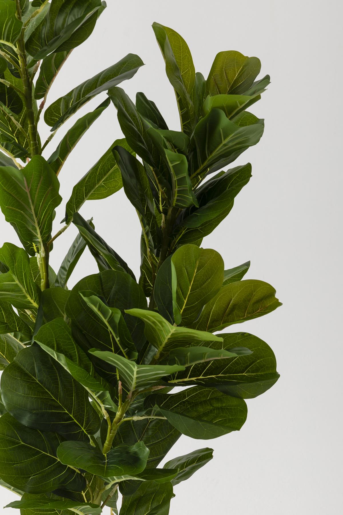 Yapay Kauçuk Ağacı 140 Cm (Saksısız)