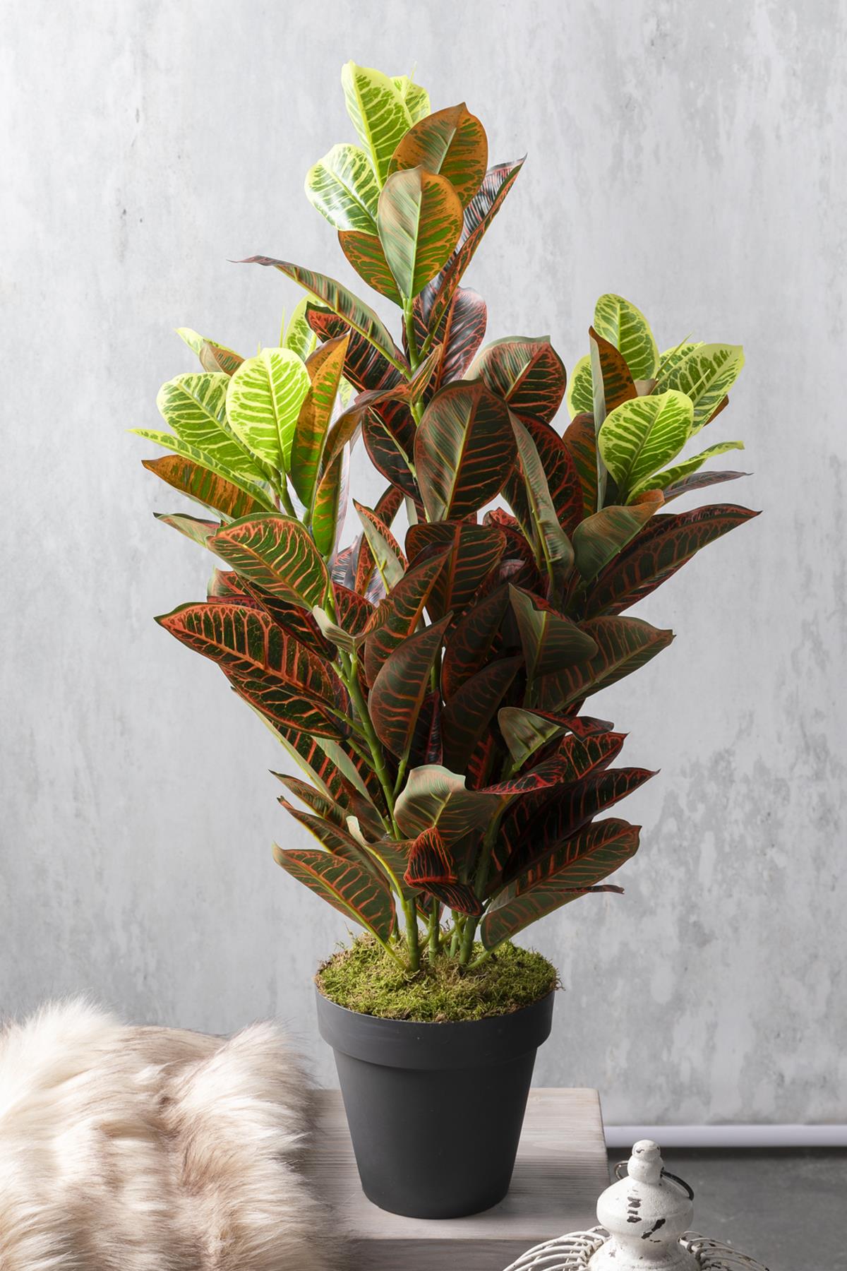 Yapay Kauçuk Ağacı Kırmızı 80 Cm (Saksısız)