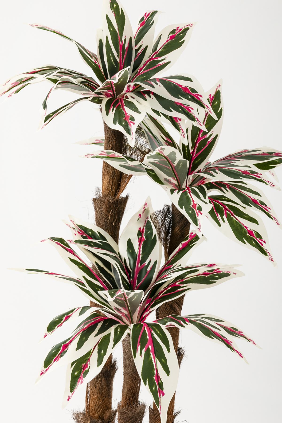 Yapay Kılıç Ağacı 150 Cm 54 Dal Pembe Yeşil