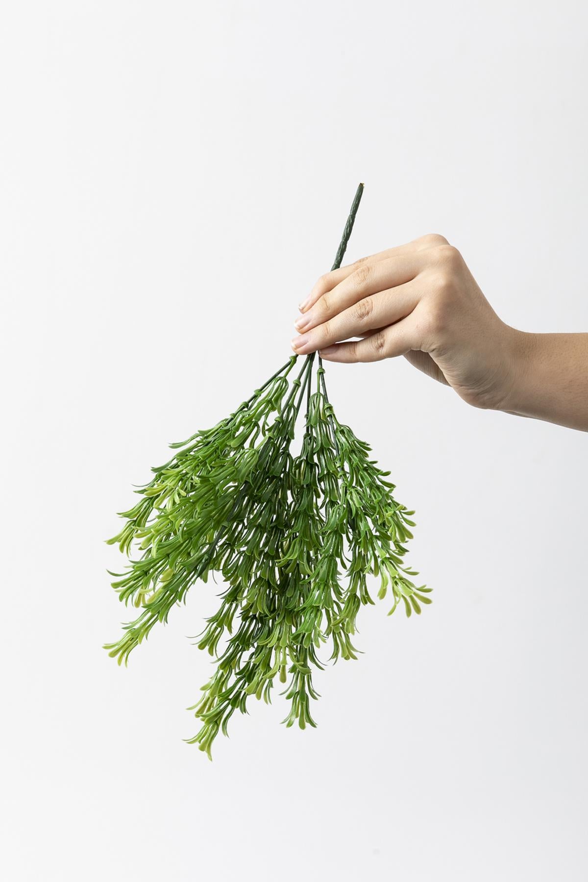 Yapay Latus Demeti Yeşil 35 Cm 5 Dal(Uv)