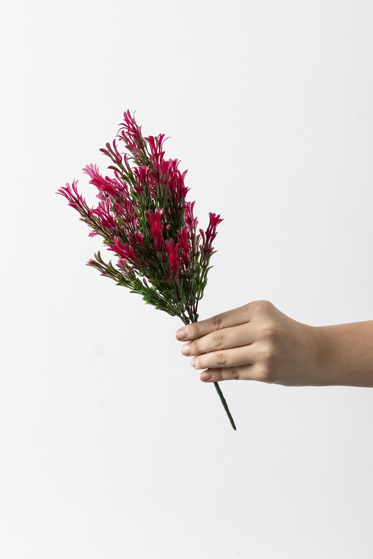 Yapay Latus Demeti Yeşil Pembe 35 Cm 5 Dal (Uv)