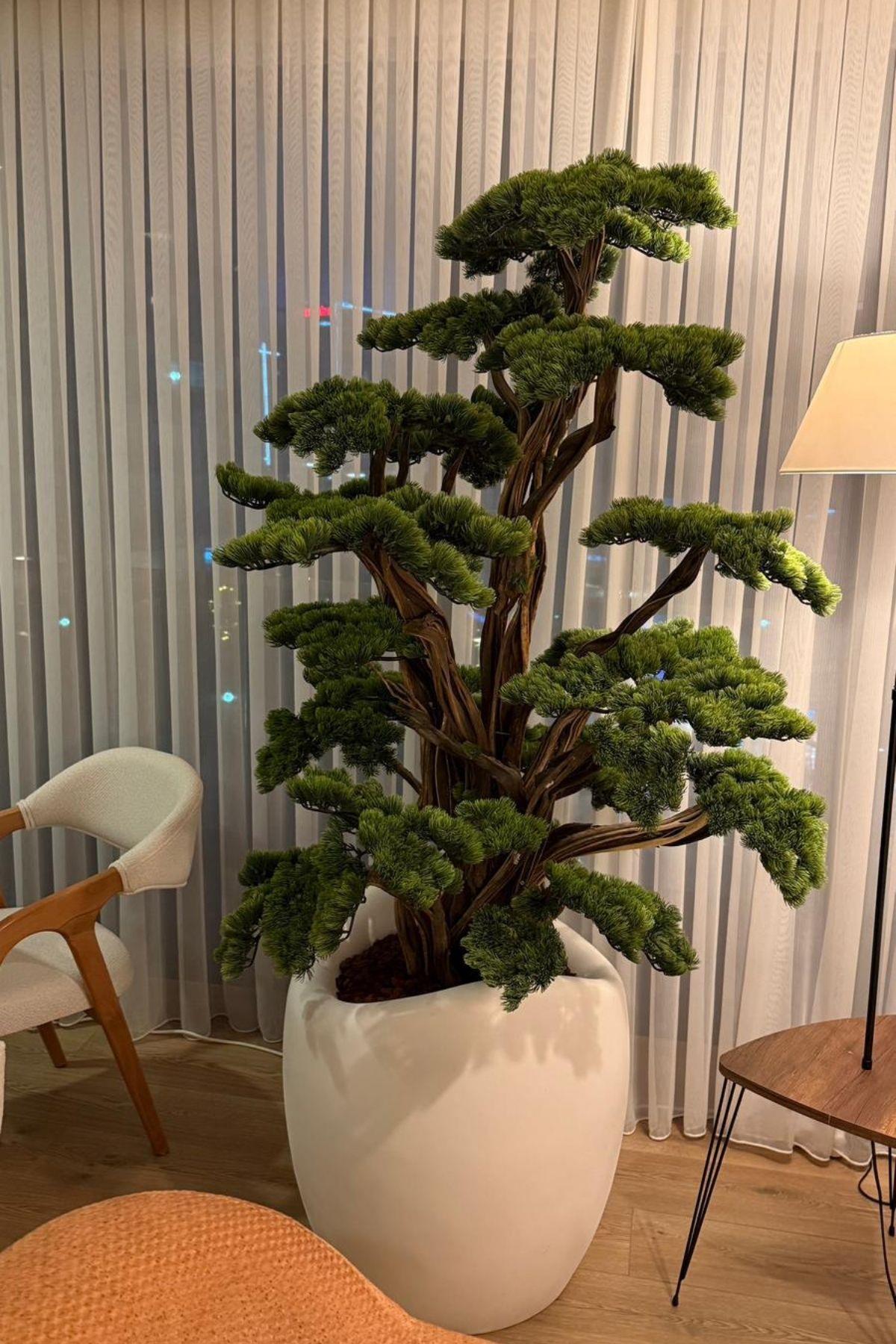 Yapay Lüx Bonsai Ağacı 200 cm 80 Dal Beyaz Fiber Saksı