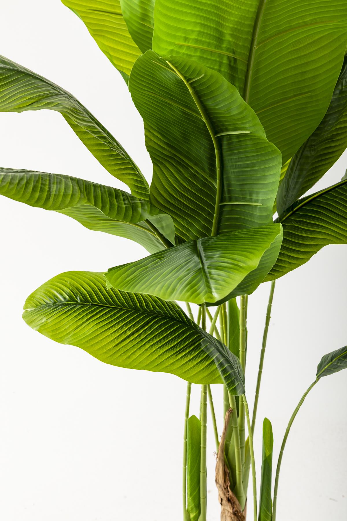 Yapay Muz Ağacı 160 Cm Kahverengi Gold Metal Saksı