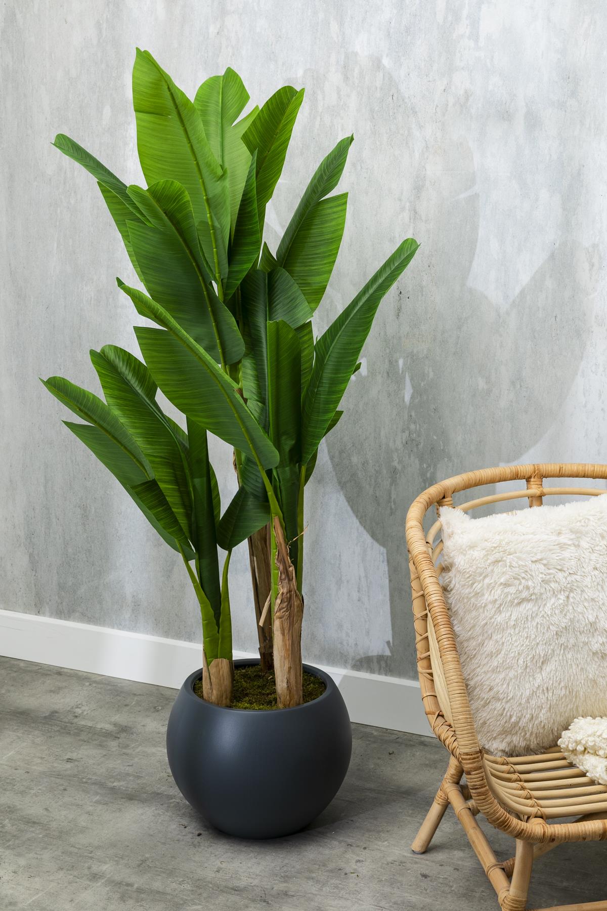 Yapay Muz Ağacı 160 Cm Küre Plastik Saksı