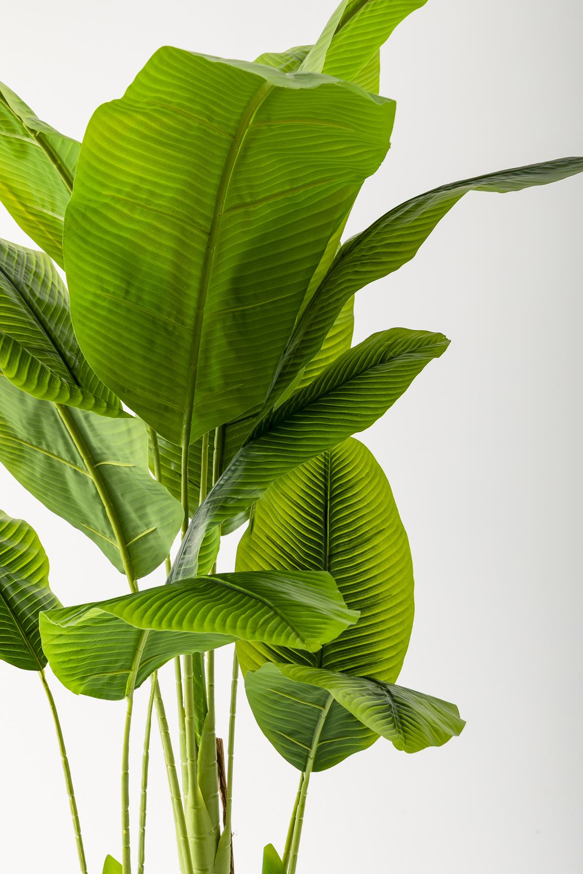 Yapay Muz Ağacı 180 Cm 13 Yaprak Gold Balon Saksı