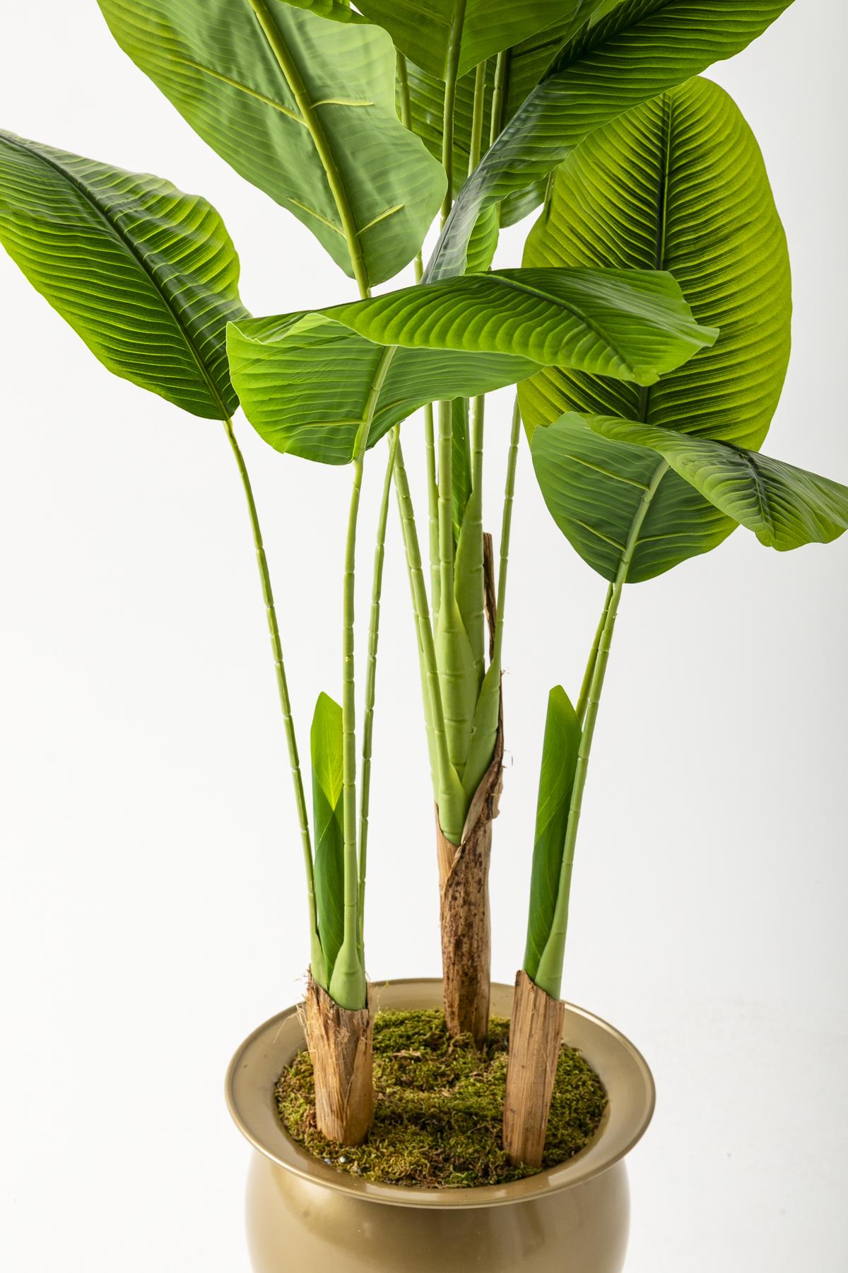 Yapay Muz Ağacı 180 Cm 13 Yaprak Gold Balon Saksı