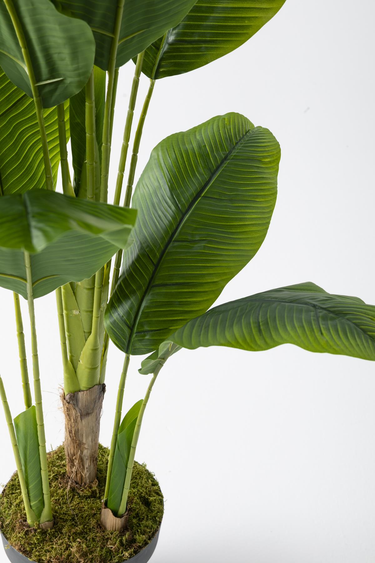 Yapay Muz Ağacı 180 Cm 17 Dal