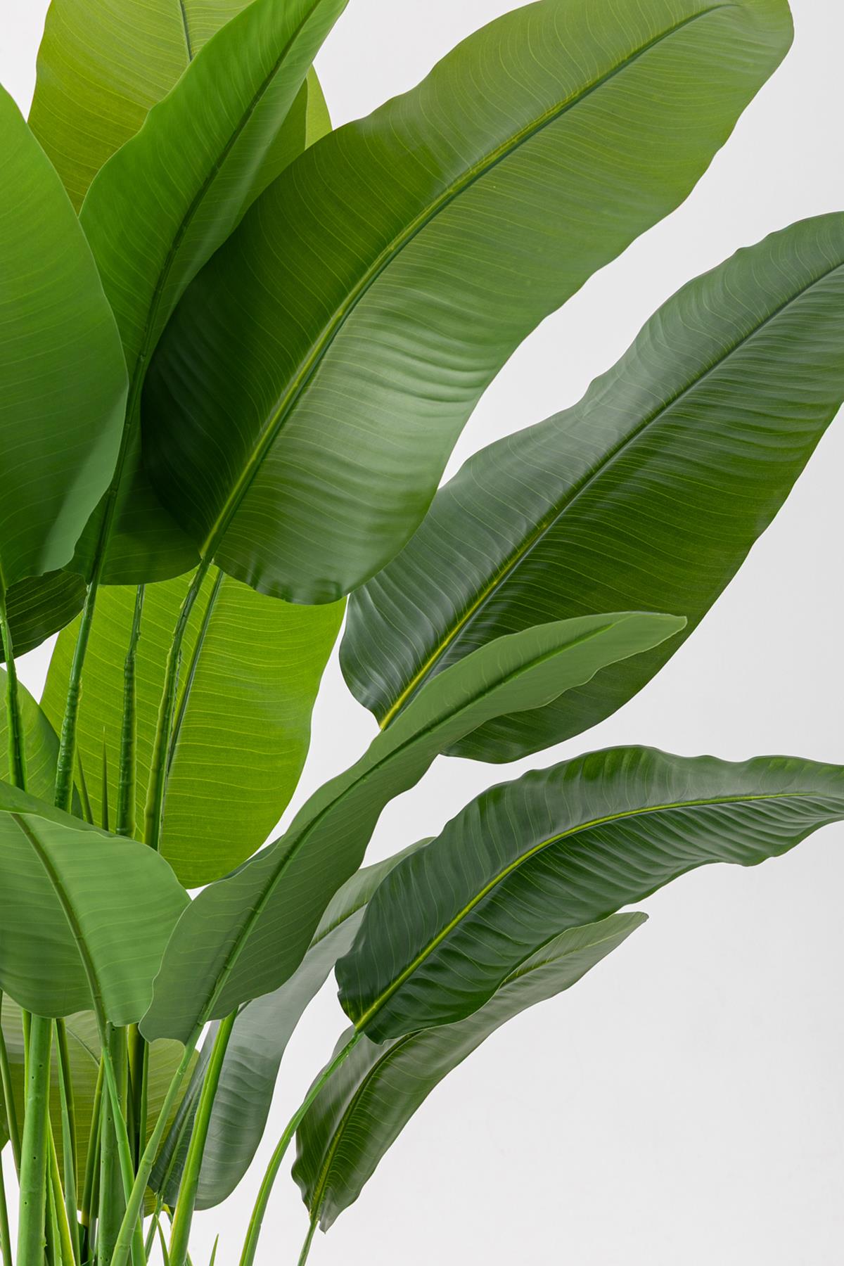 Yapay Muz Ağacı 180 Cm 5 Gövdeli 16 Yaprak