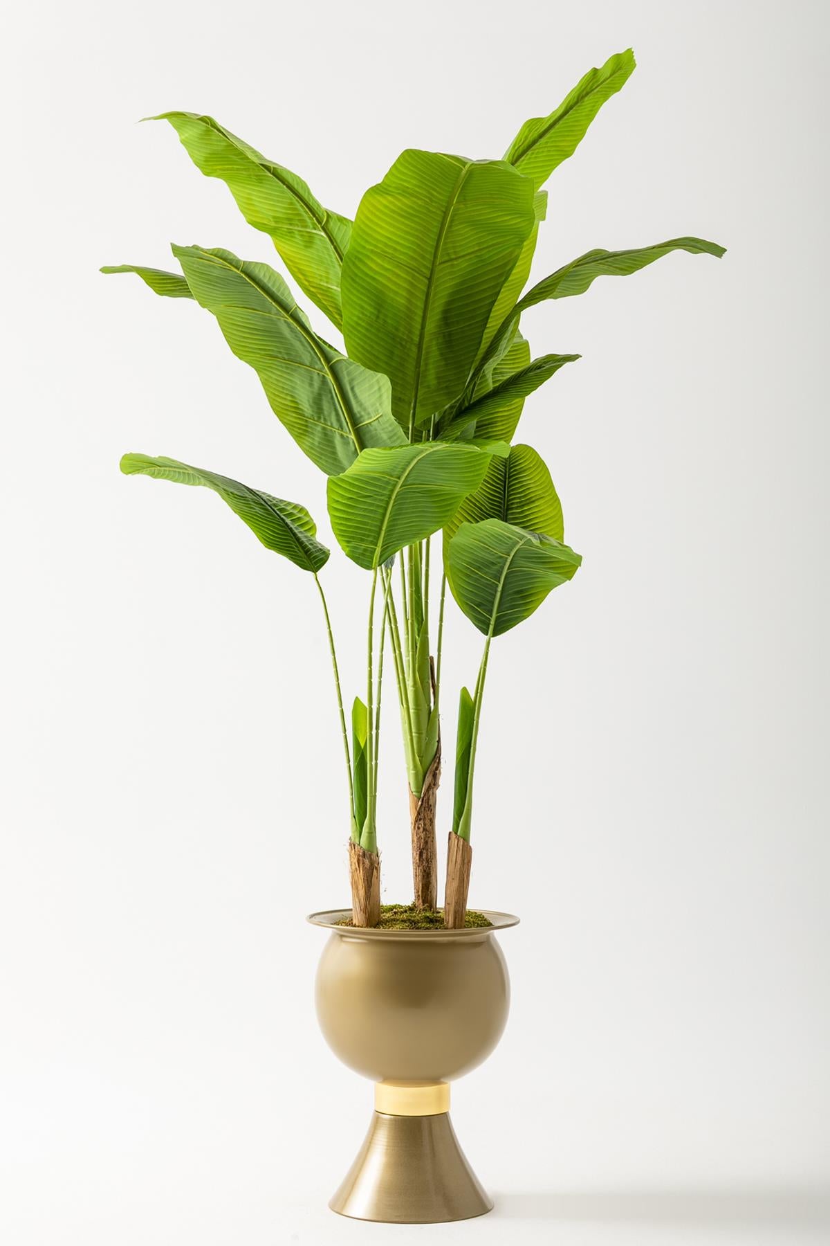 Yapay Muz Ağacı 200 Cm 17 Yaprak Balon Saksı