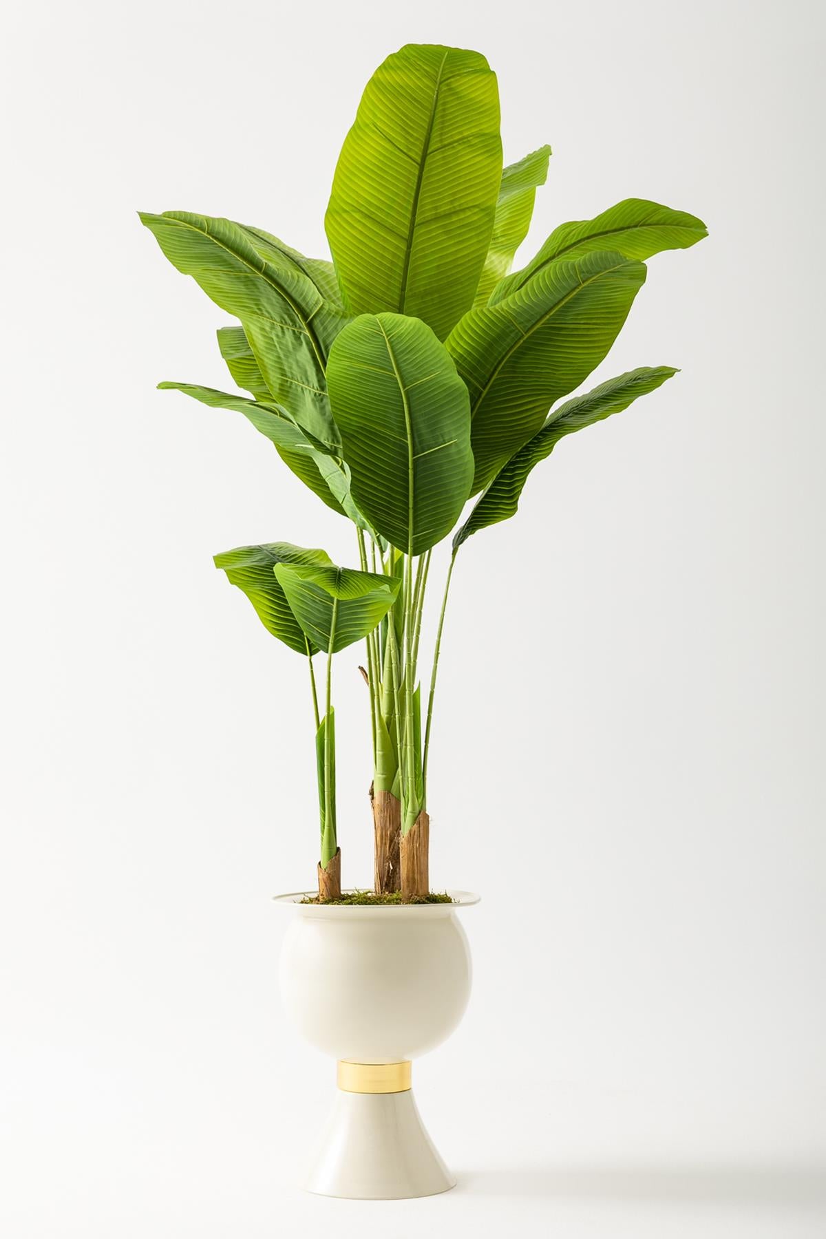 Yapay Muz Ağacı 200 Cm 17 Yaprak Balon Saksı