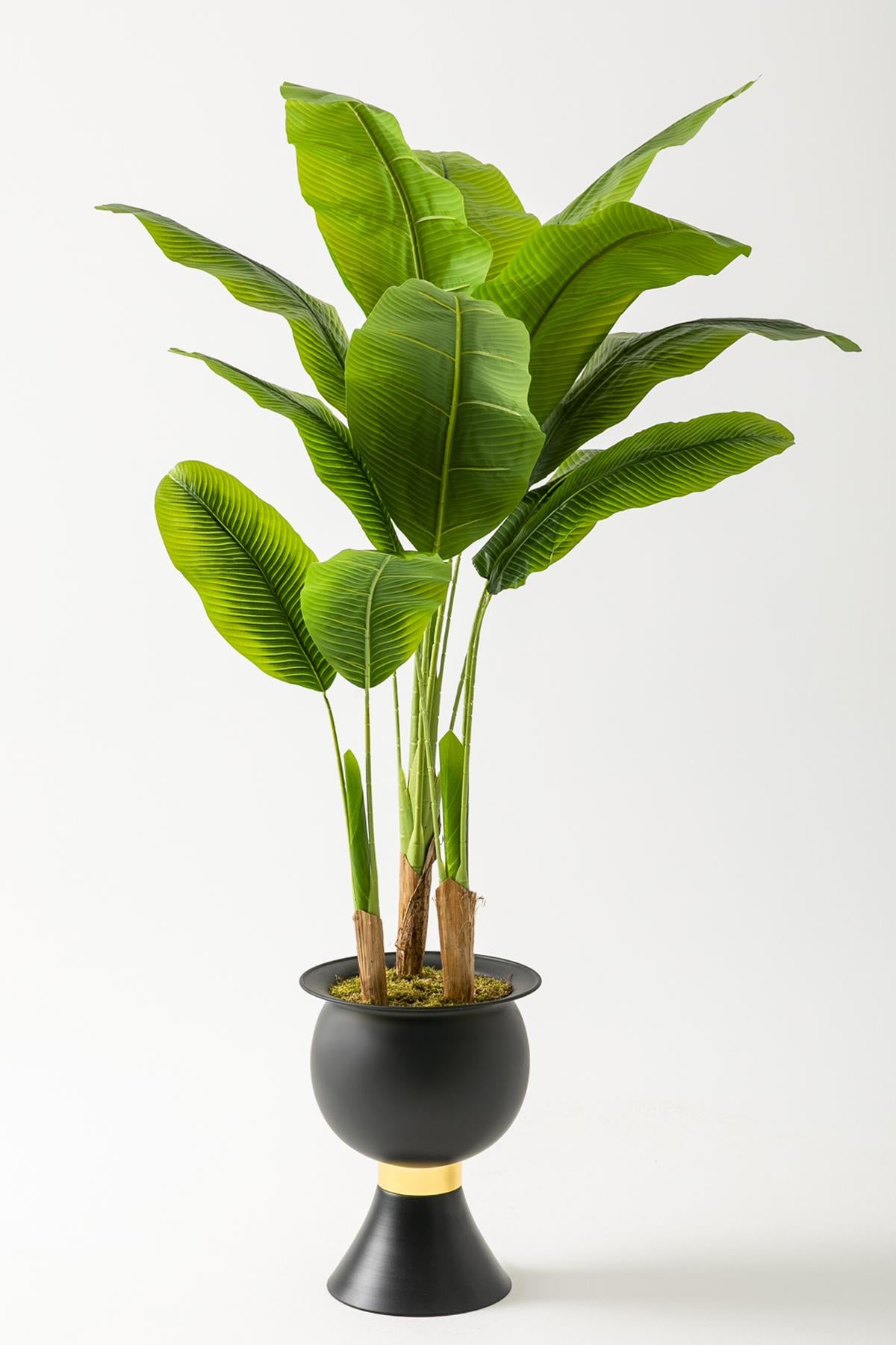 Yapay Muz Ağacı 200 Cm 17 Yaprak Balon Saksı