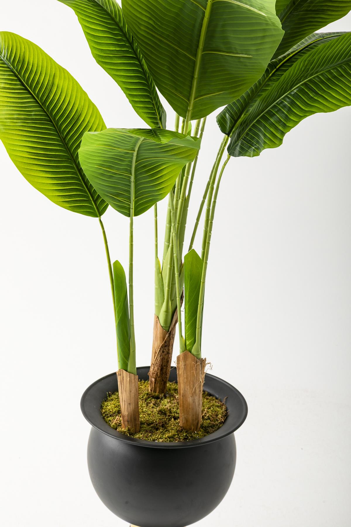 Yapay Muz Ağacı 200 Cm 17 Yaprak Balon Saksı