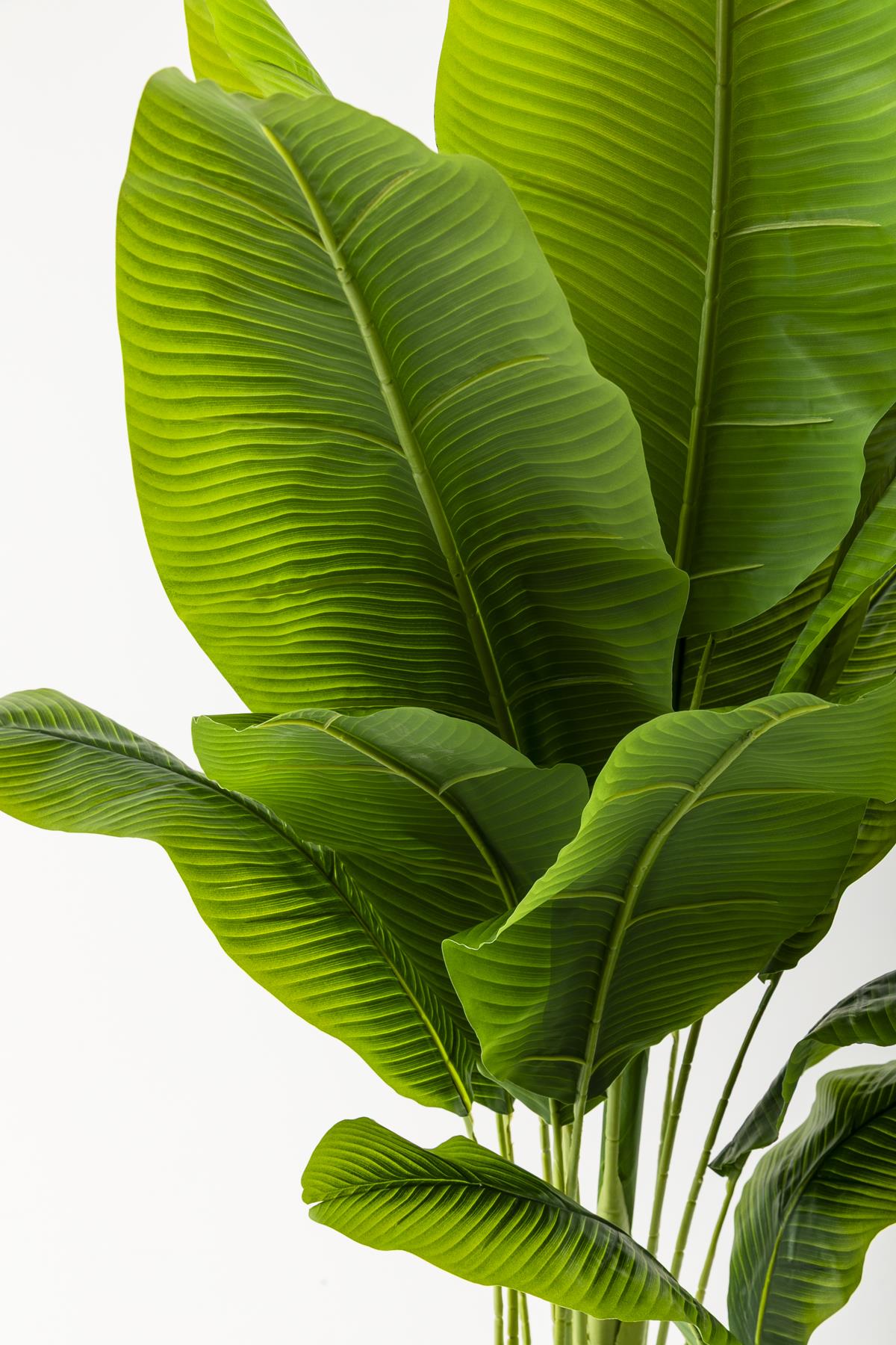 Yapay Muz Ağacı 200 Cm Beyaz Gold Metal Saksı