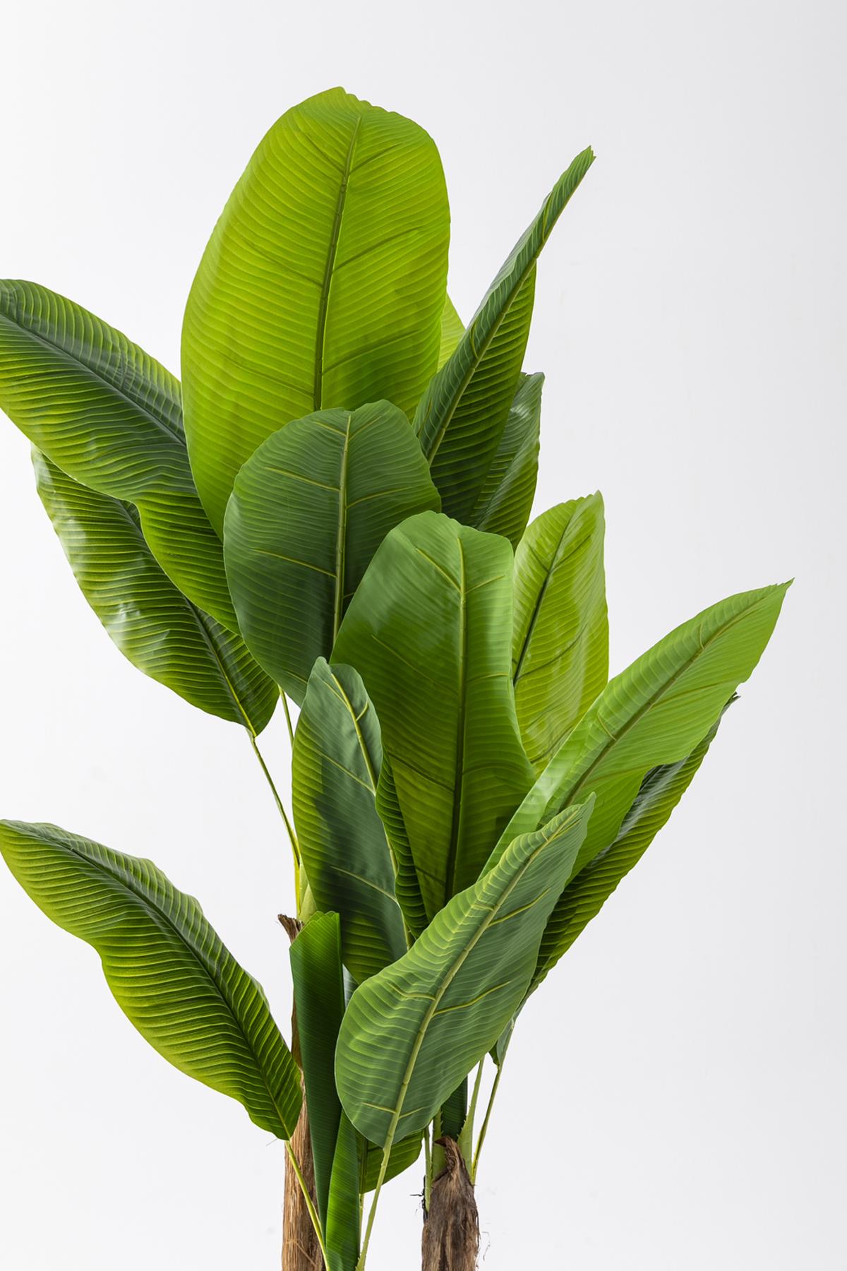 Yapay Muz Ağacı 200 Cm Plastik Küre Saksı