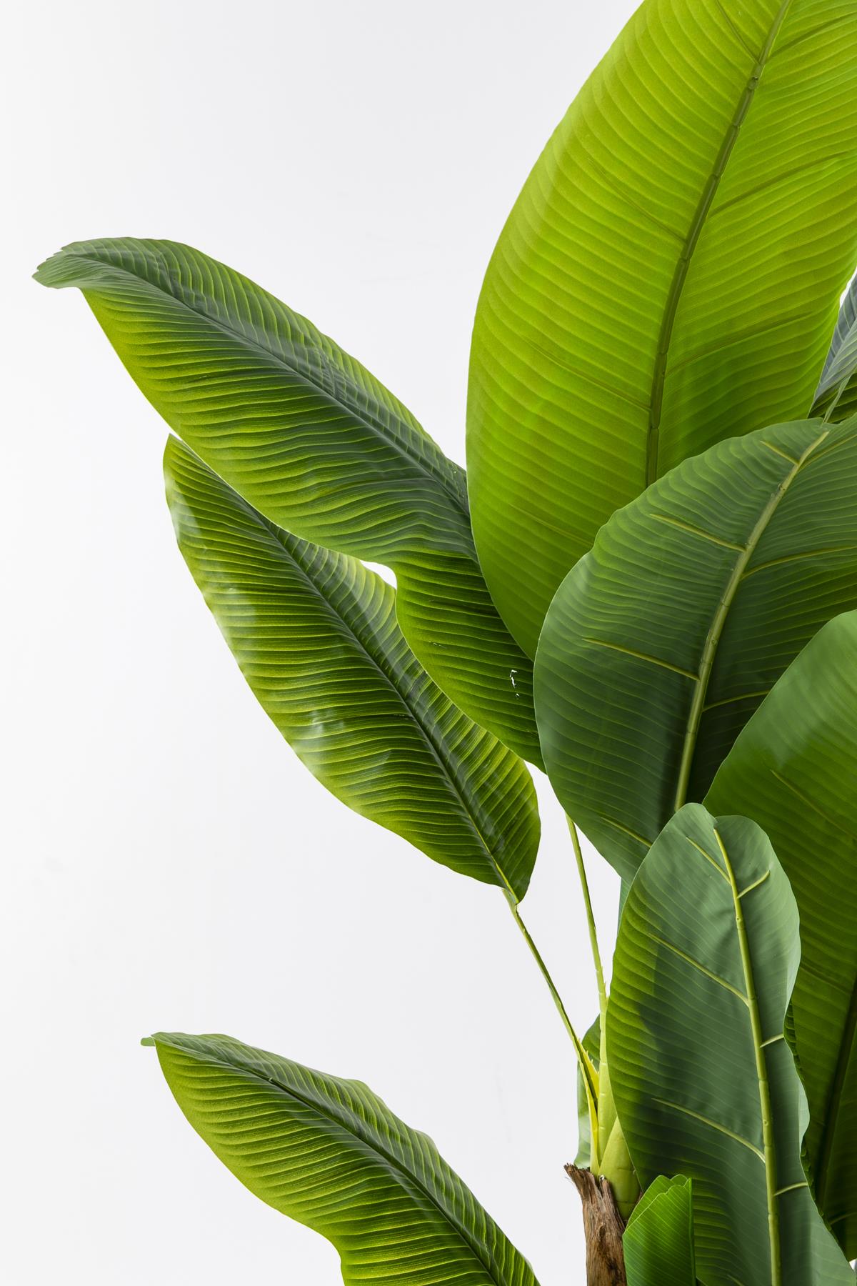 Yapay Muz Ağacı 200 Cm Plastik Küre Saksı