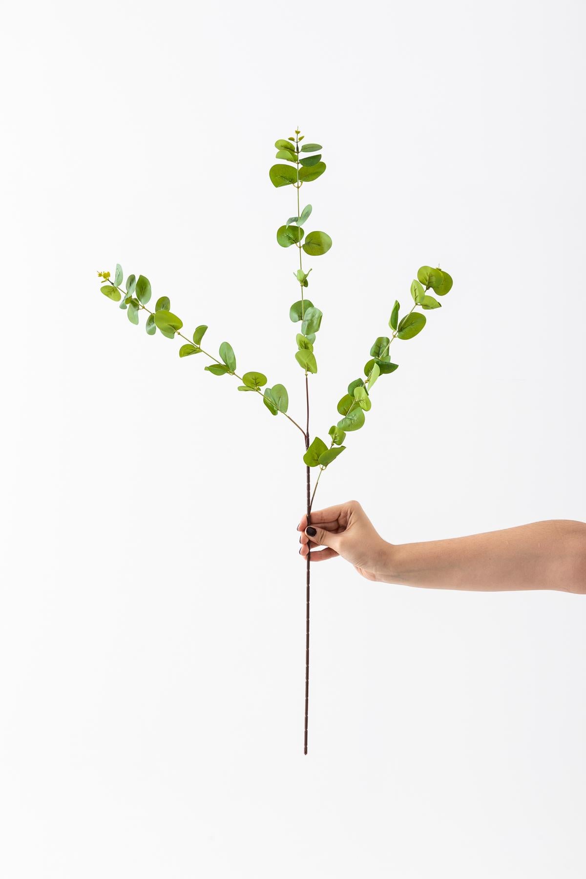 Yapay Okaliptus Dalı 80 Cm 3 Dal