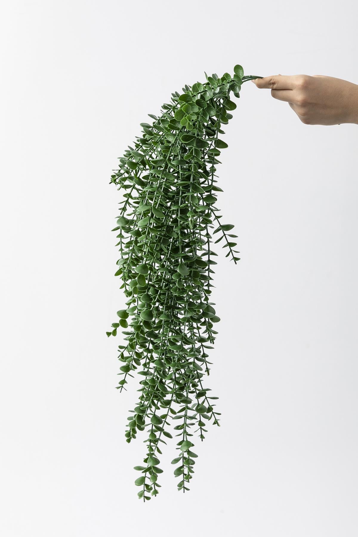 Yapay Okaliptus Sarmaşık (Uv) Korumalı Koyu Yeşil 90 Cm 5 Dal (Uv)