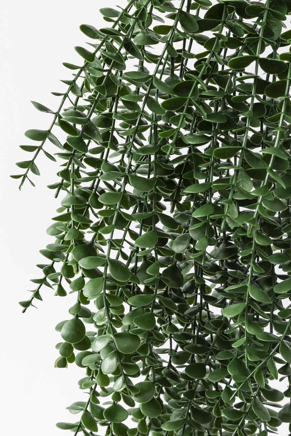 Yapay Okaliptus Sarmaşık (Uv) Korumalı Koyu Yeşil 90 Cm 5 Dal (Uv)