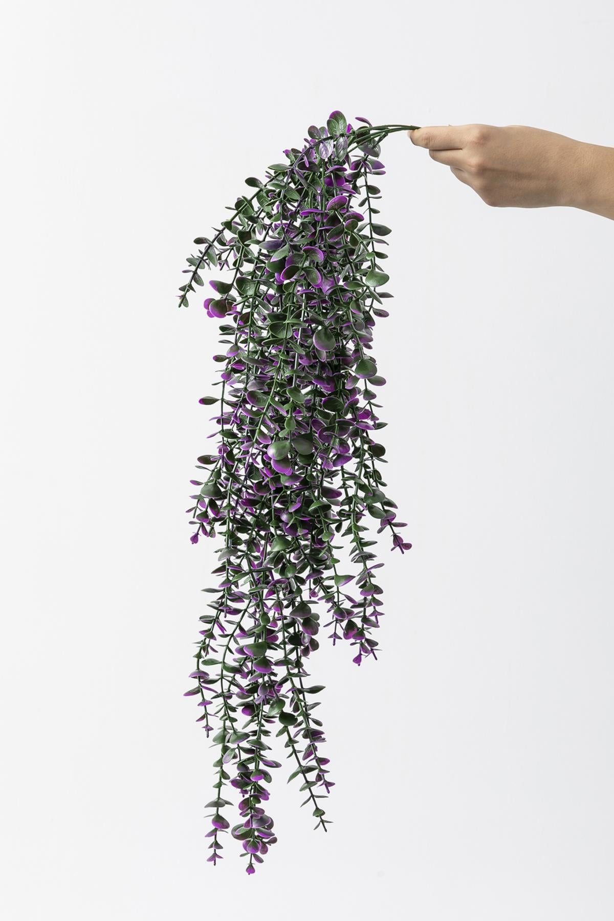 Yapay Okaliptus Sarmaşık (Uv) Korumalı Mor 90 Cm 5 Dal (Uv)
