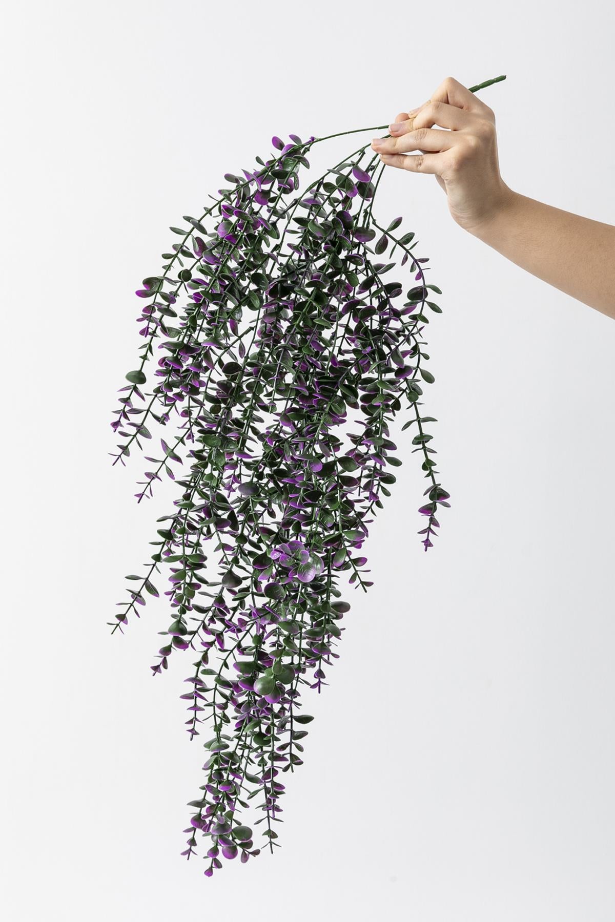 Yapay Okaliptus Sarmaşık (Uv) Korumalı Mor 90 Cm 5 Dal (Uv)