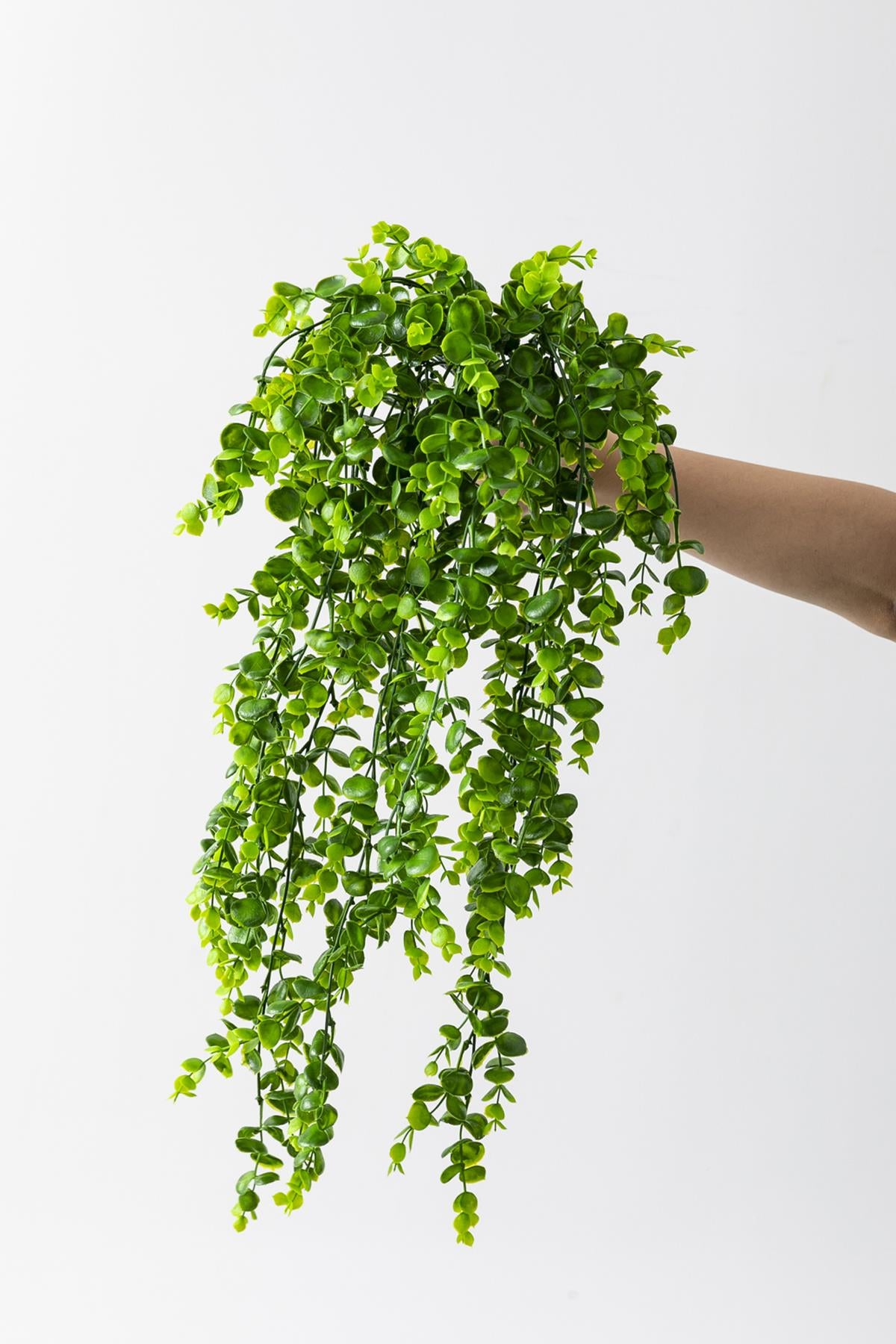 Yapay Okaliptus Sarmaşık (Uv) Korumalı Açık Yeşil 70 Cm 5 Dal (Uv)