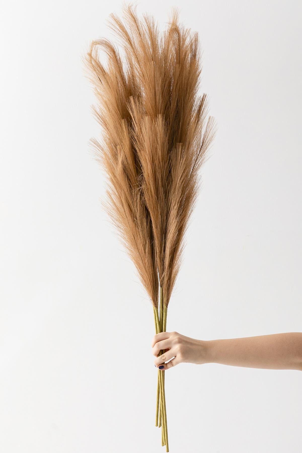 Yapay Pampas 100 Cm Tek Dal Kahverengi 5'li