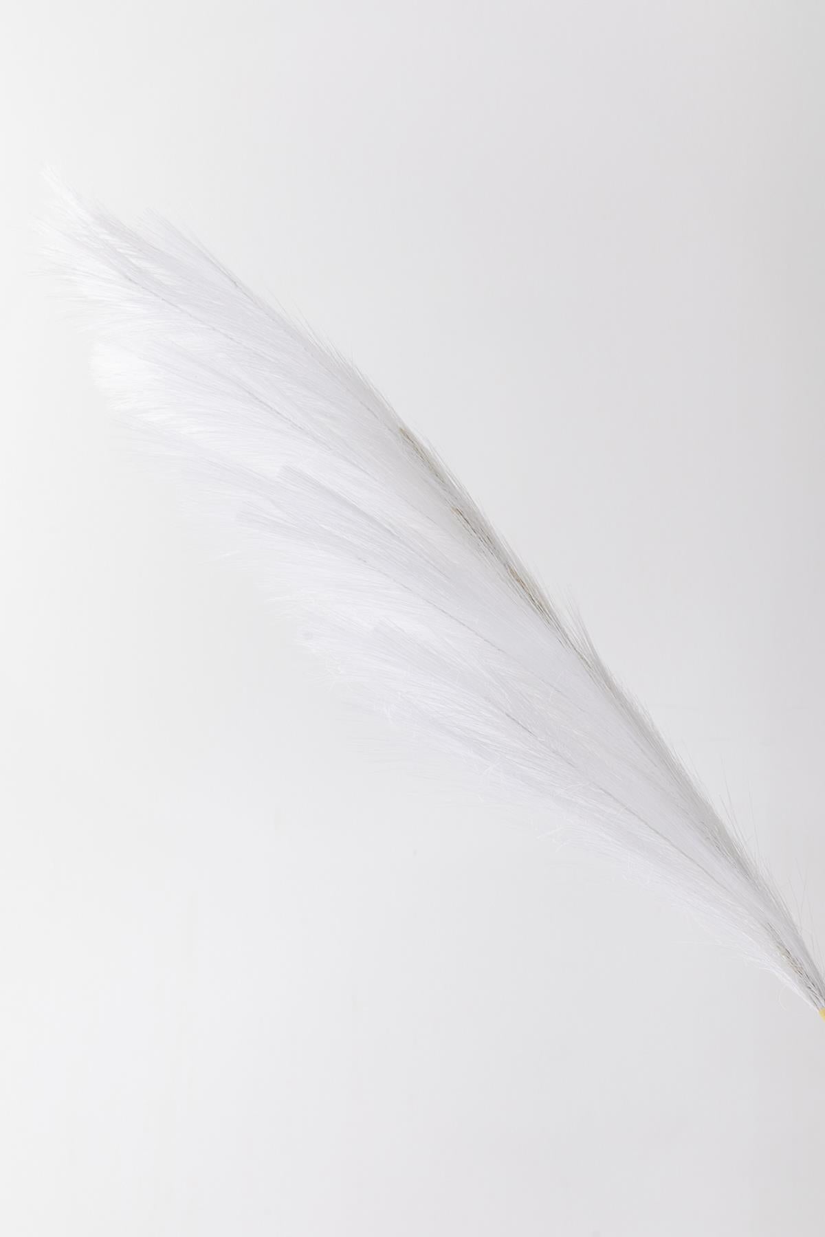 Yapay Pampas Çiçeği 100 Cm Tek Dal Beyaz