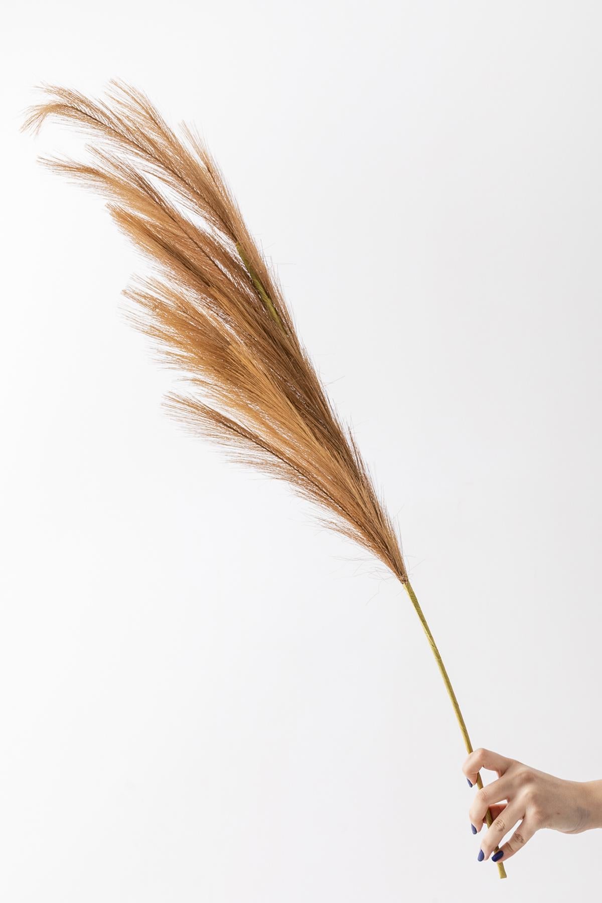 Yapay Pampas Çiçeği 100 Cm Tek Dal Kahverengi