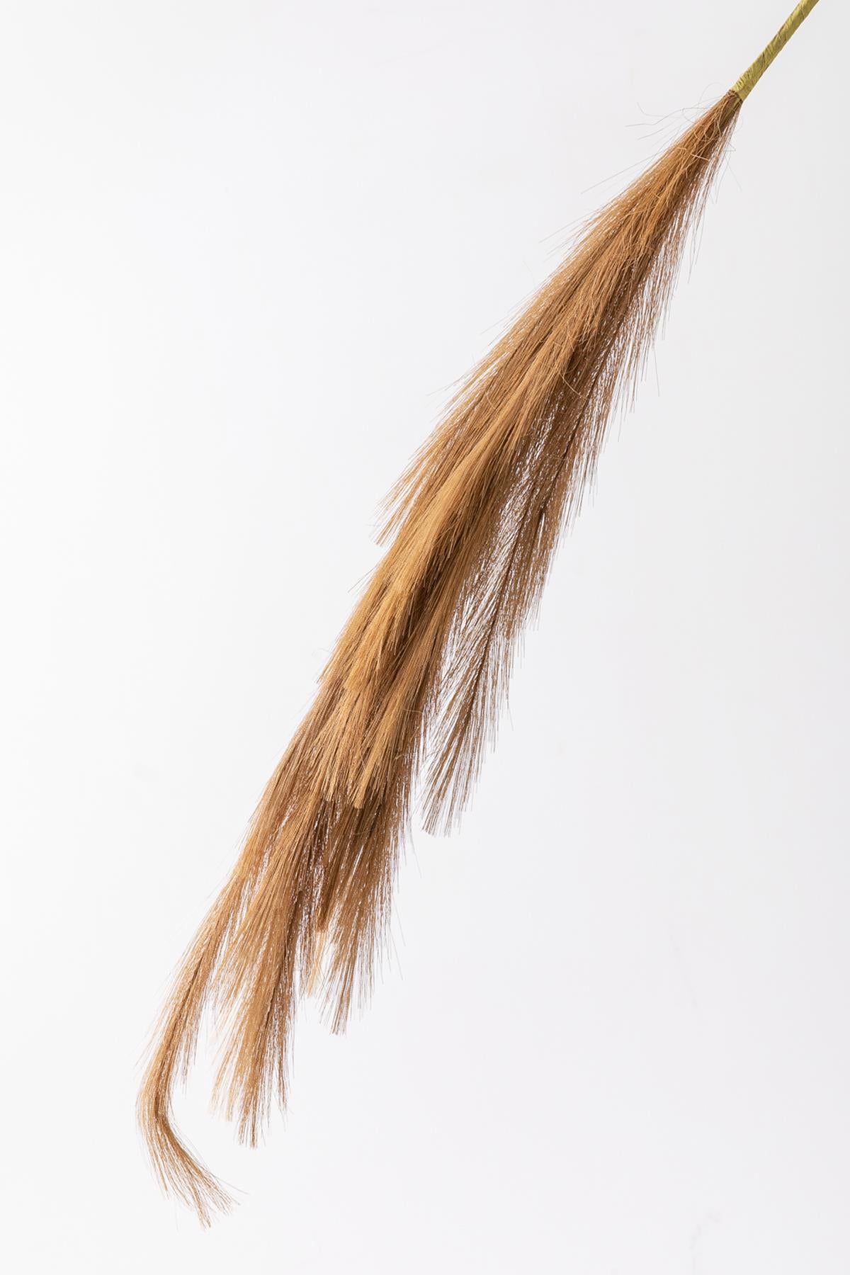 Yapay Pampas Çiçeği 100 Cm Tek Dal Kahverengi