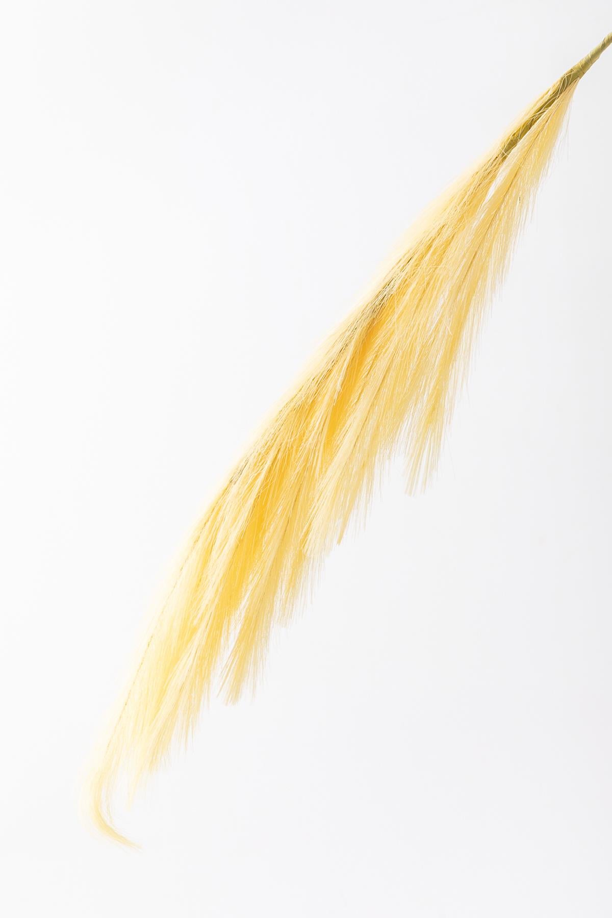 Yapay Pampas Çiçeği 100 Cm Tek Dal Sarı