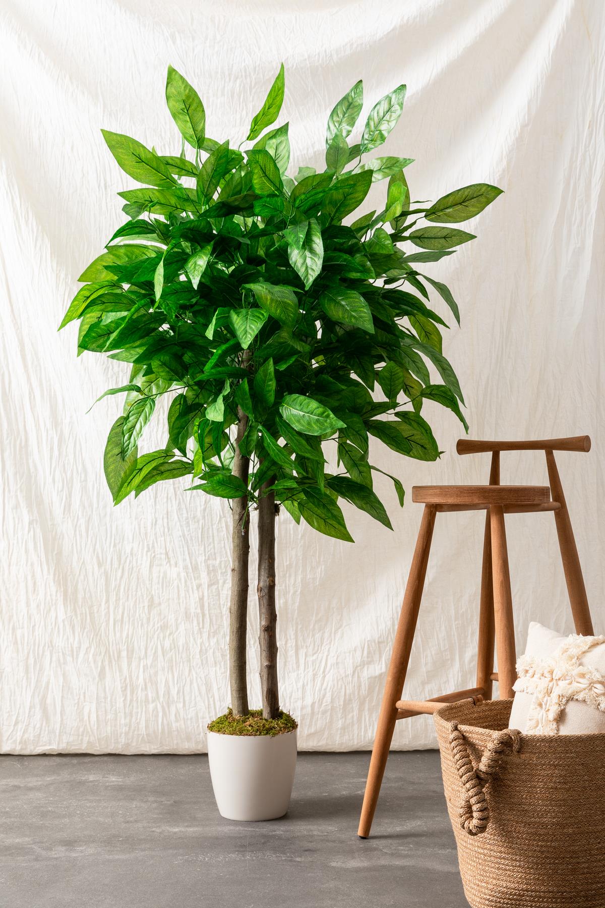 Yapay Salon Köşe Çiçeği 160 Cm Ceviz Ağacı