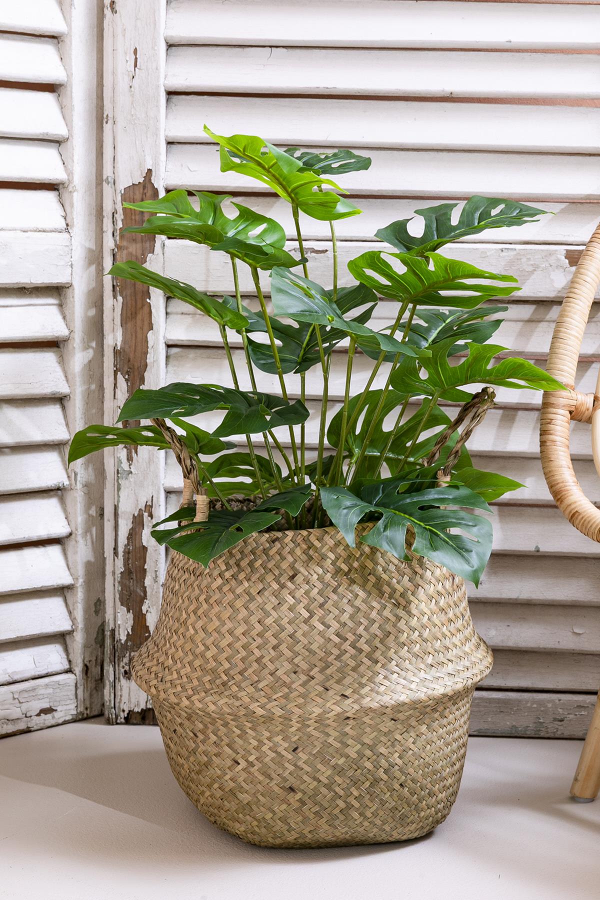 Yapay Salon Köşe Çiçeği 65 Cm Devetabanı (Saksısız)