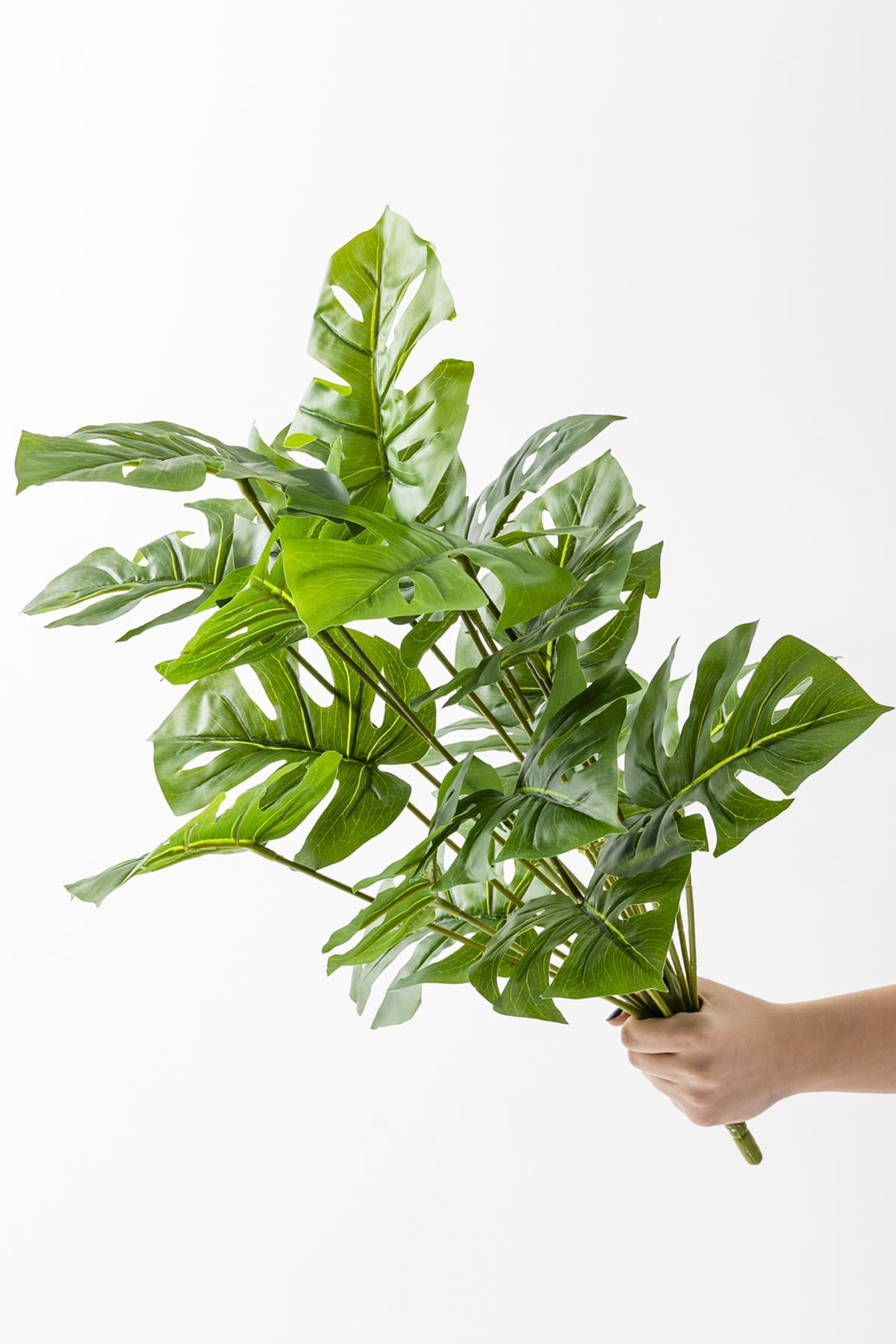 Yapay Salon Köşe Çiçeği 65 Cm Devetabanı (Saksısız)