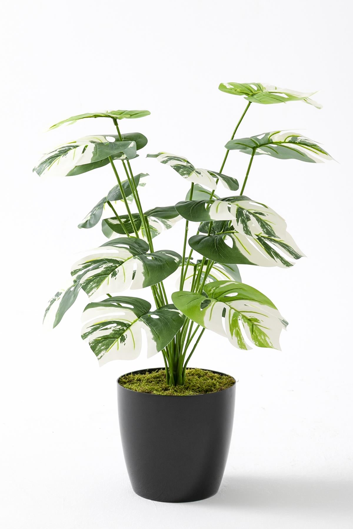 Yapay Salon Köşe Çiçeği Devetabanı Beyaz 65 Cm