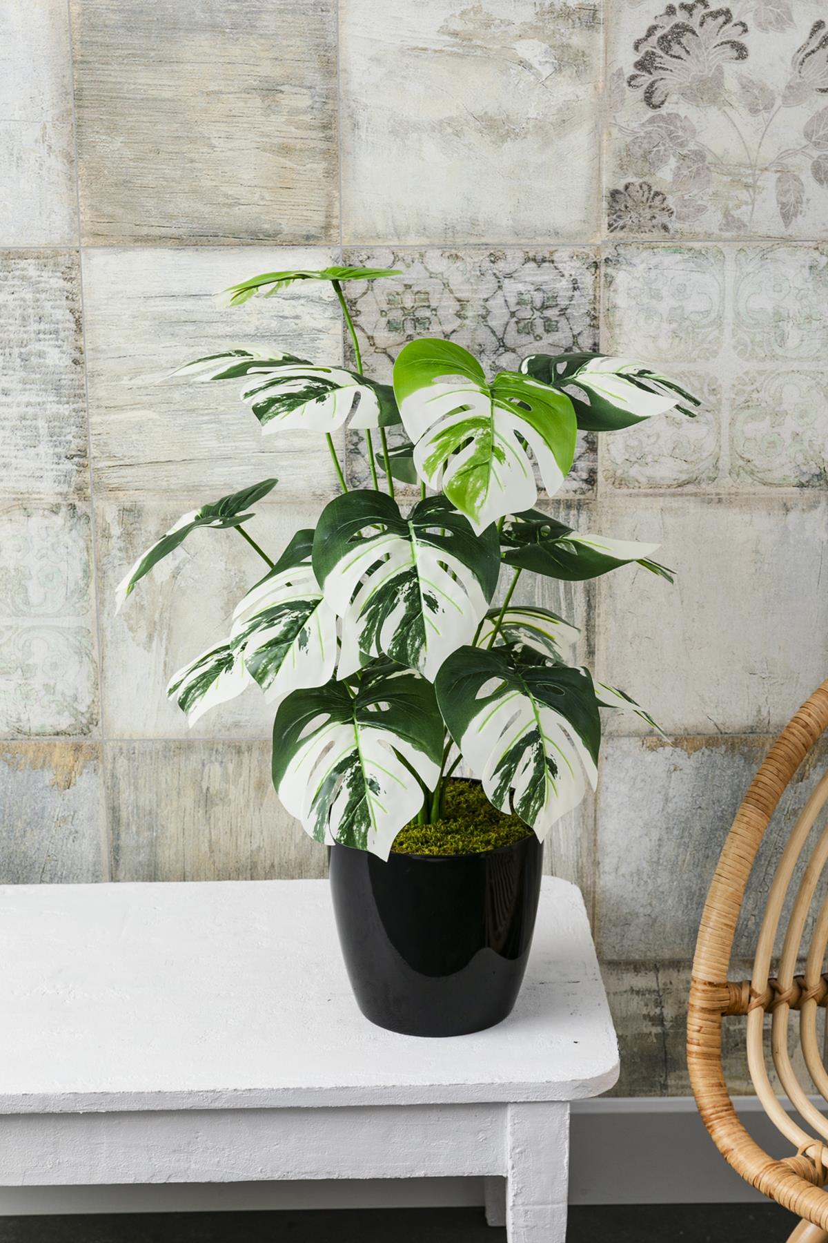 Yapay Salon Köşe Çiçeği Devetabanı Beyaz 65 Cm