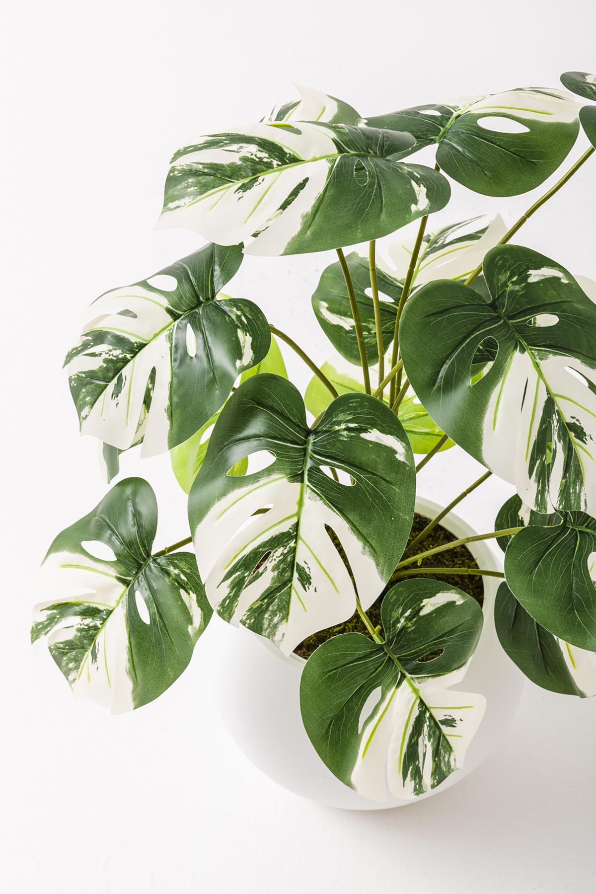 Yapay Salon Köşe Çiçeği Devetabanı Beyaz 65 Cm Küre Saksı