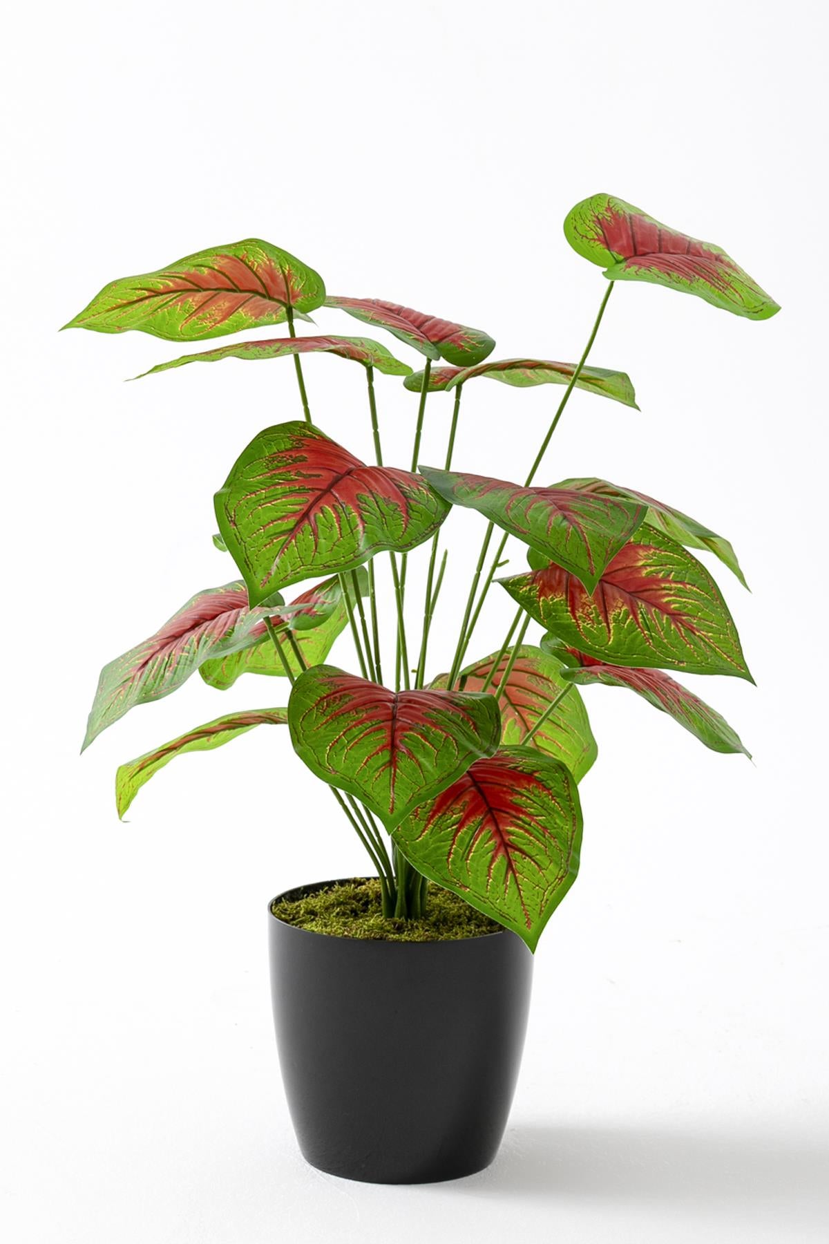 Yapay Salon Köşe Çiçeği Devetabanı Kırmızı 65 Cm