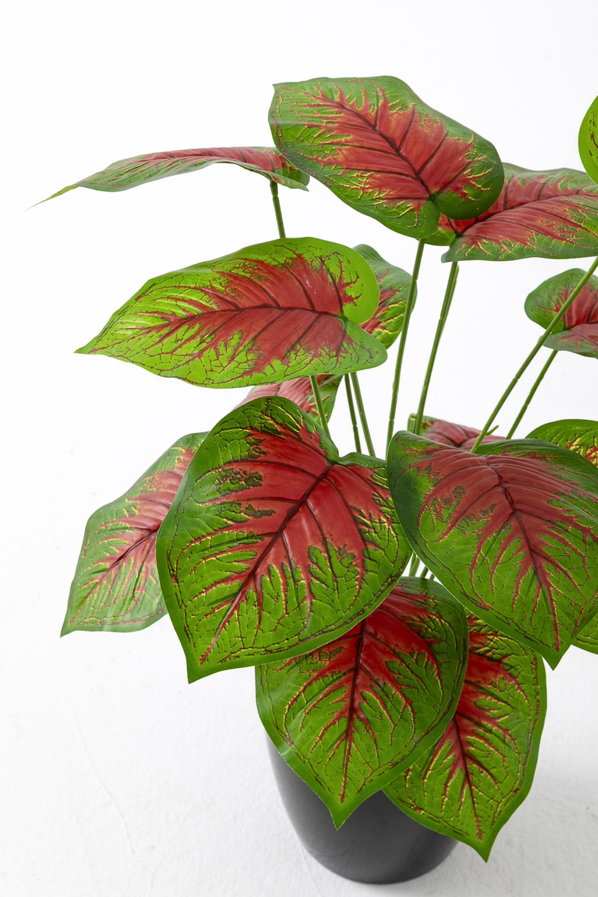 Yapay Salon Köşe Çiçeği Devetabanı Kırmızı 65 Cm