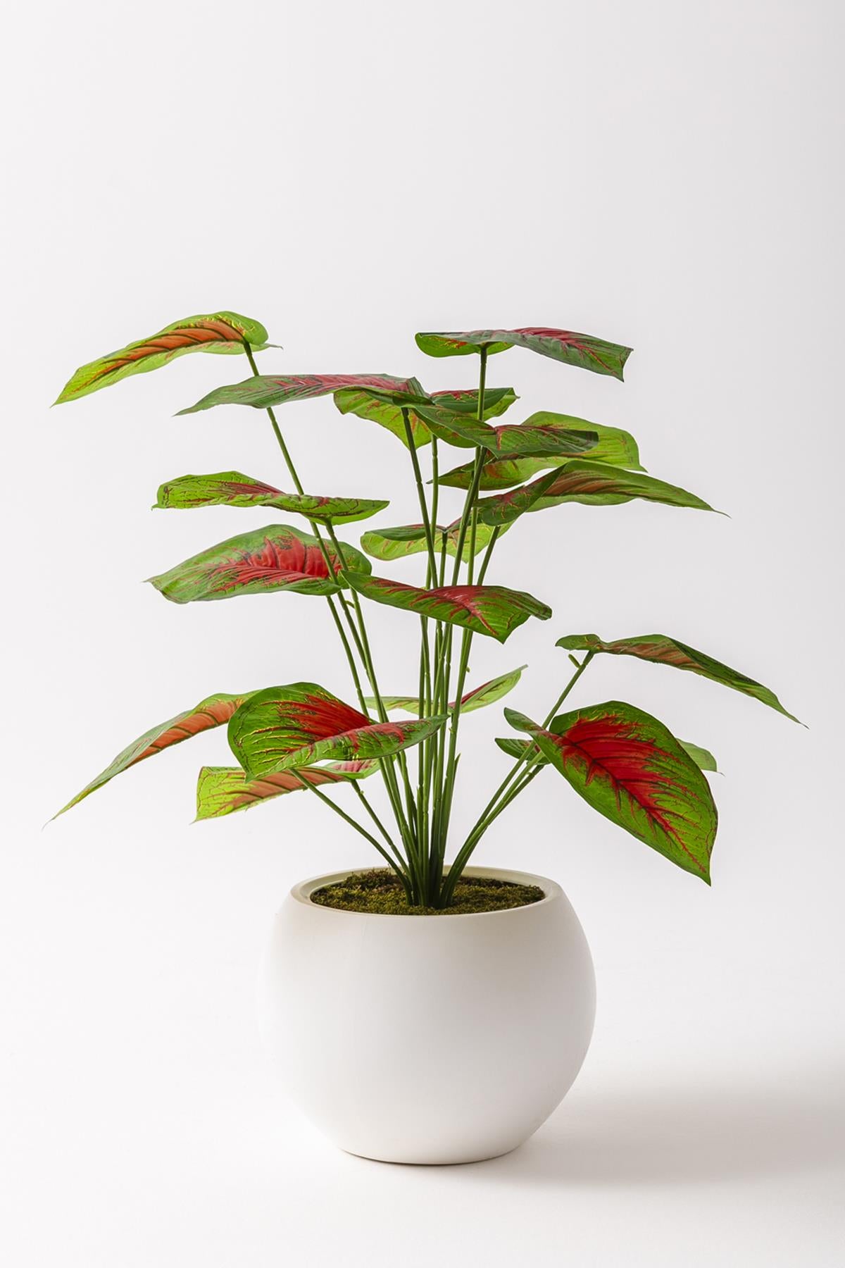 Yapay Salon Köşe Çiçeği Devetabanı Kırmızı 65 Cm Küre Saksı