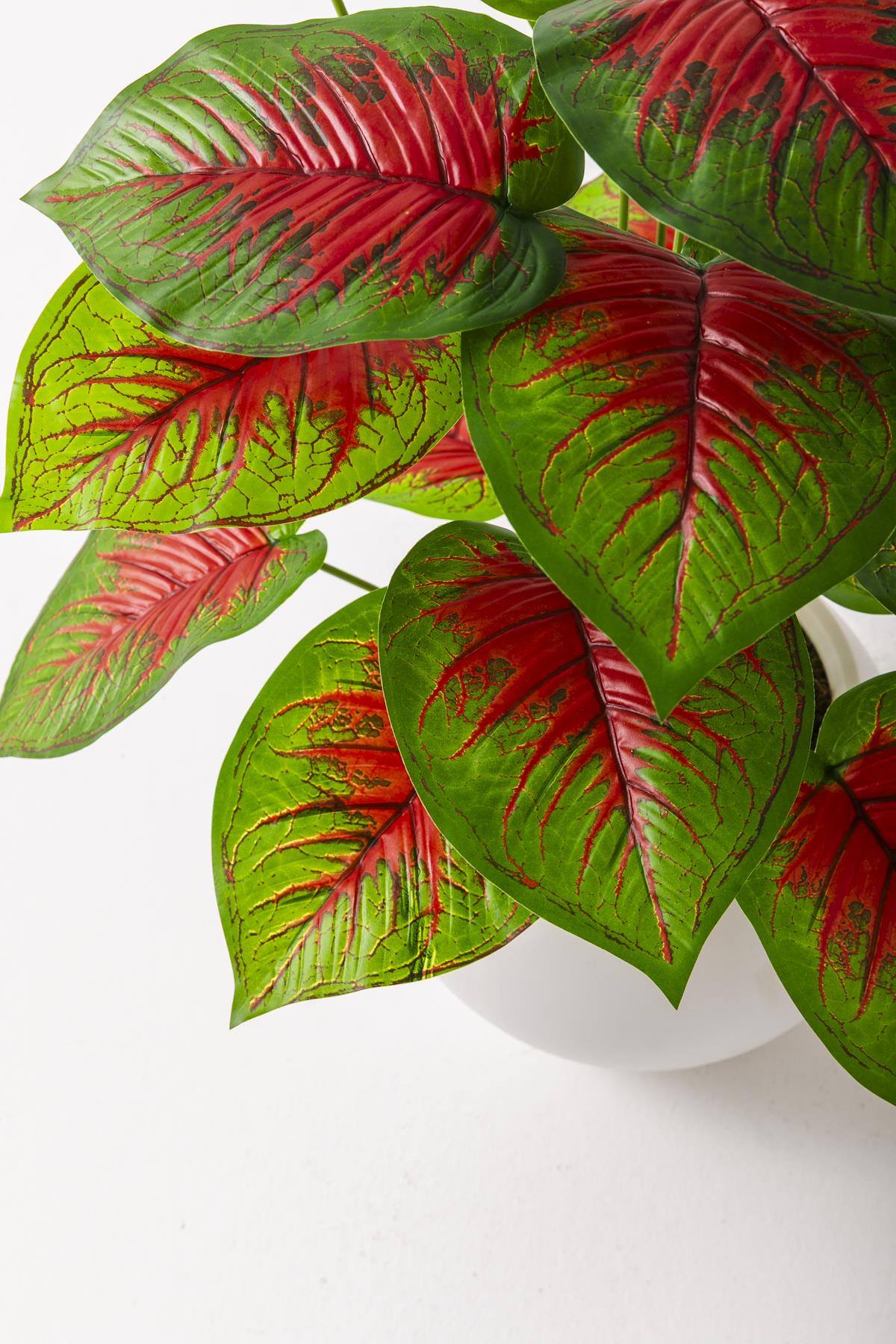 Yapay Salon Köşe Çiçeği Devetabanı Kırmızı 65 Cm Küre Saksı