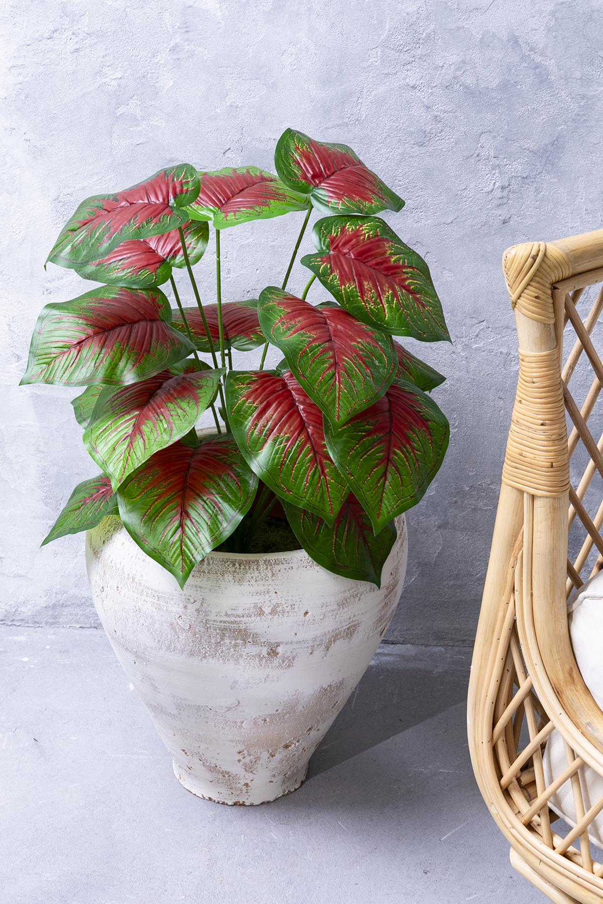 Yapay Salon Köşe Çiçeği Devetabanı Kırmızı 65 Cm Saksısız