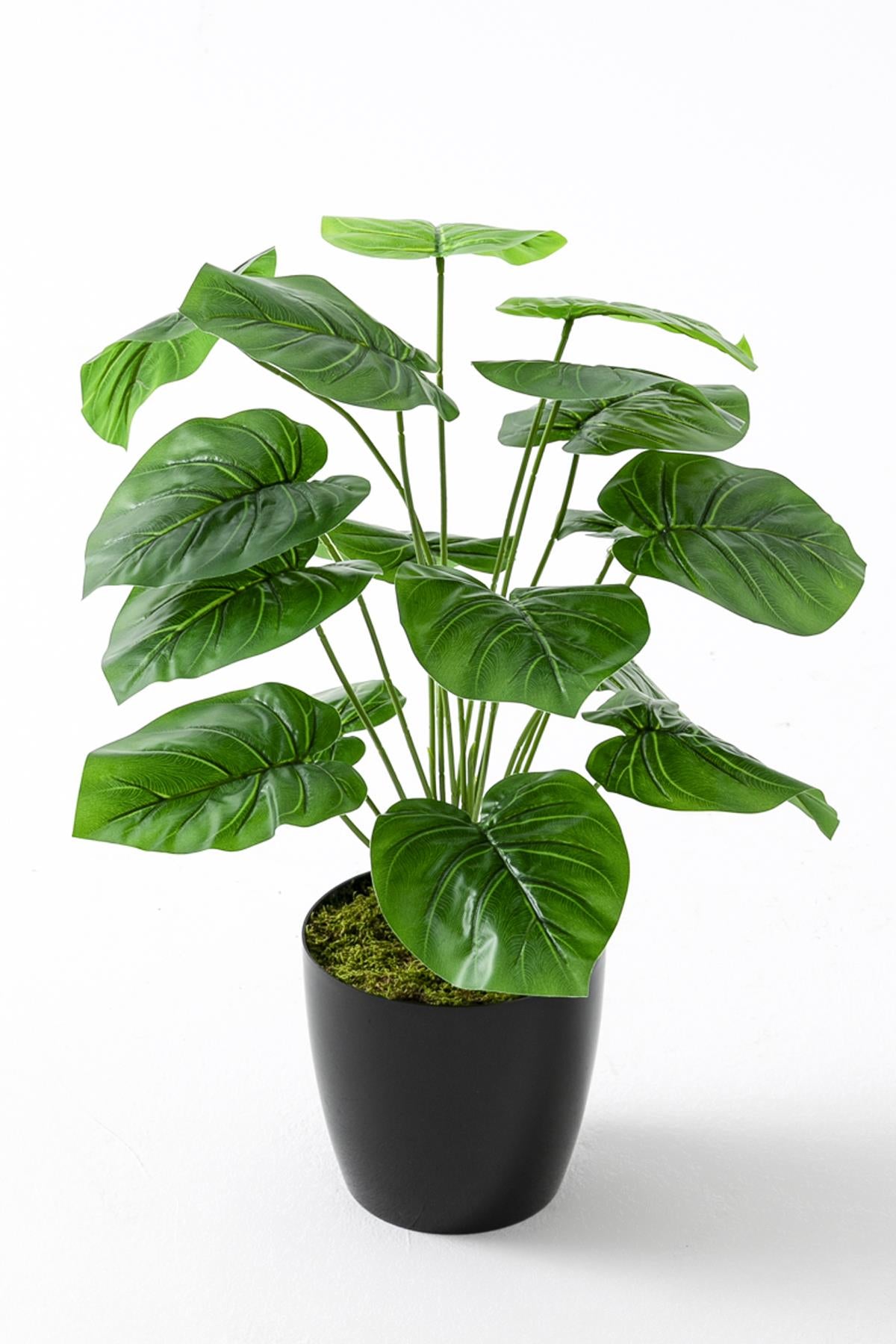 Yapay Salon Köşe Çiçeği Devetabanı Yeşil 65 Cm