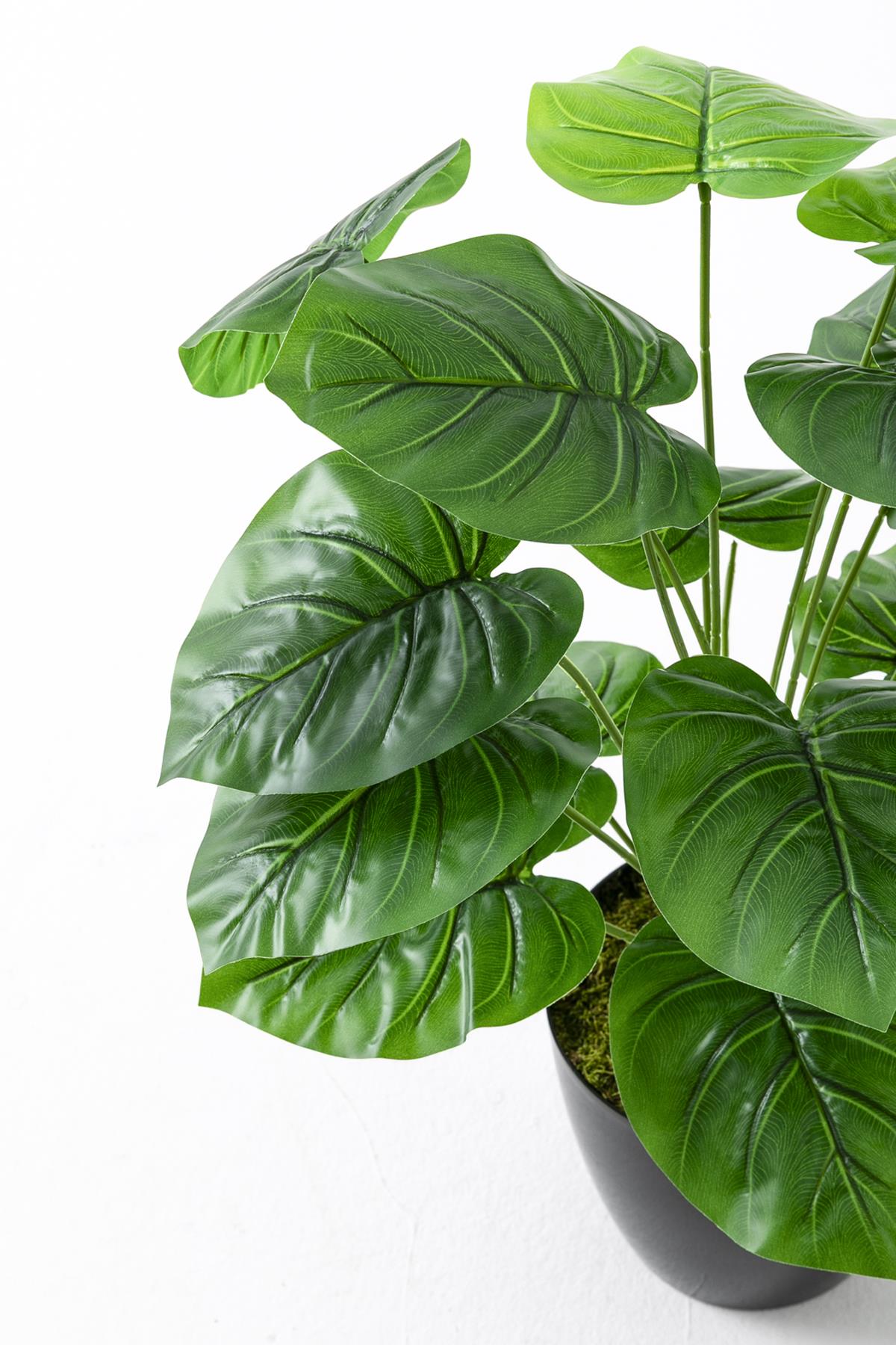 Yapay Salon Köşe Çiçeği Devetabanı Yeşil 65 Cm