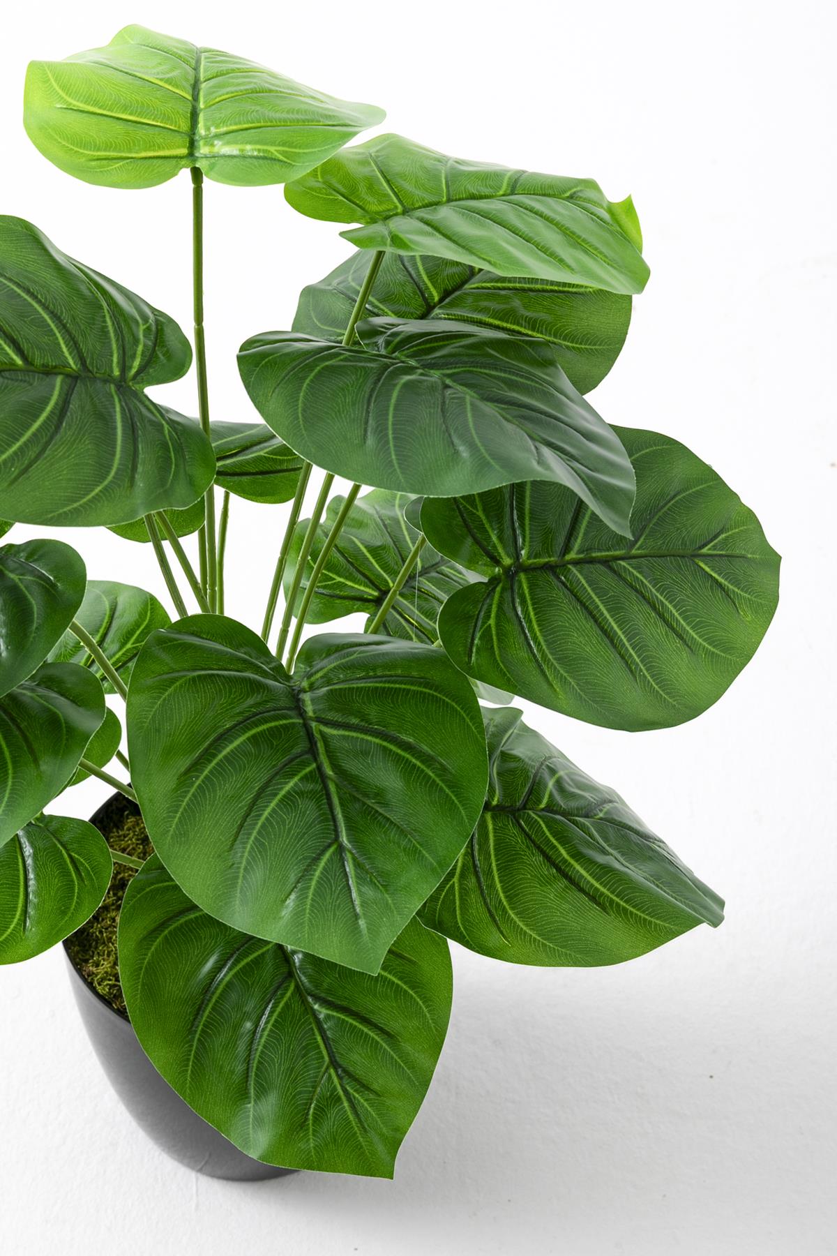 Yapay Salon Köşe Çiçeği Devetabanı Yeşil 65 Cm