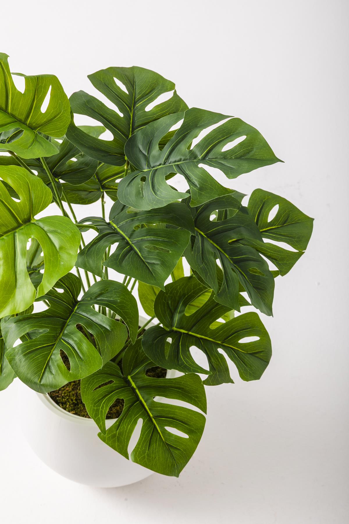 Yapay Salon Köşe Çiçeği Devetabanı Yeşil 65 Cm Küre Saksı