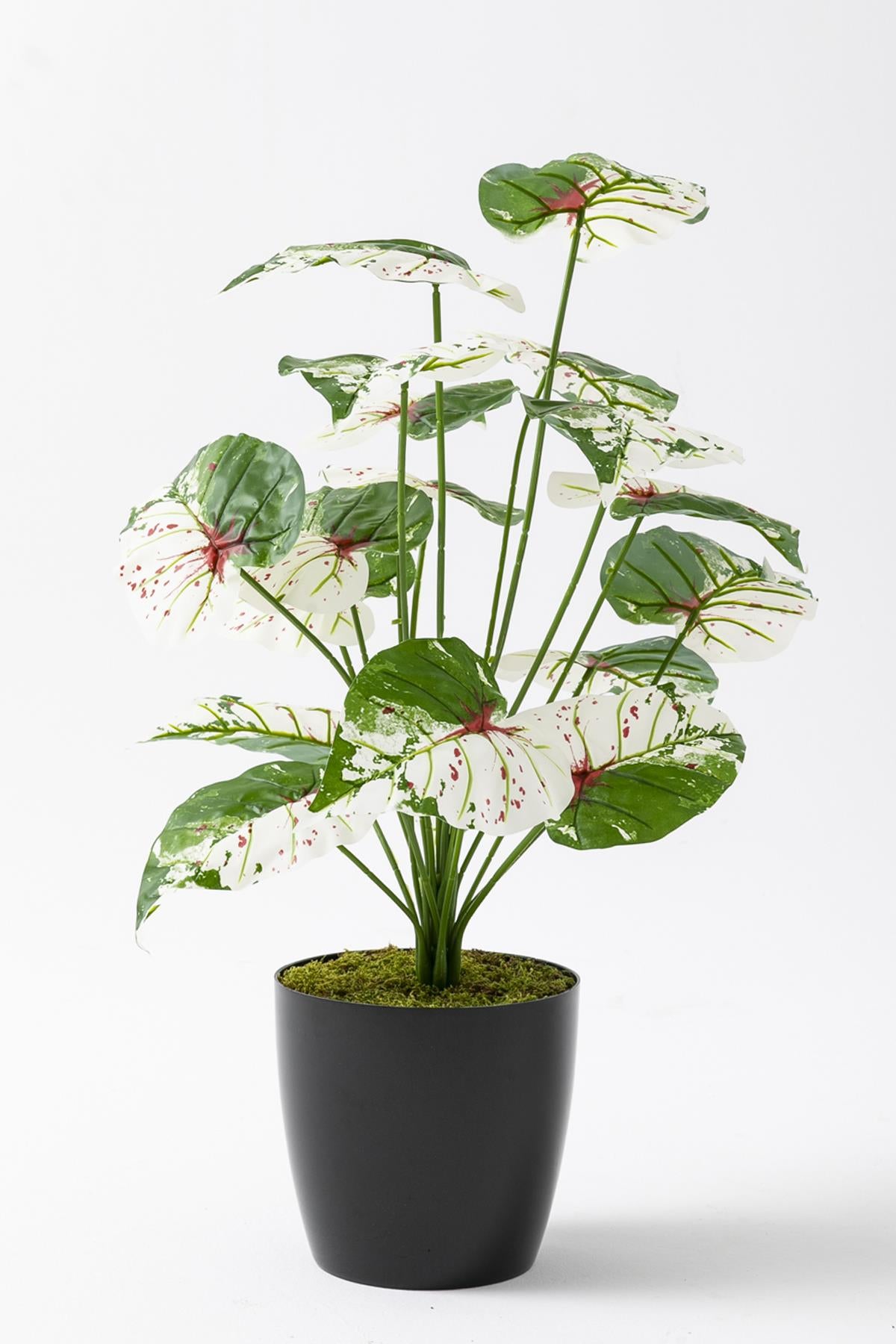 Yapay Salon Köşe Çiçeği Devetabanı Yeşil Pembe 65 Cm