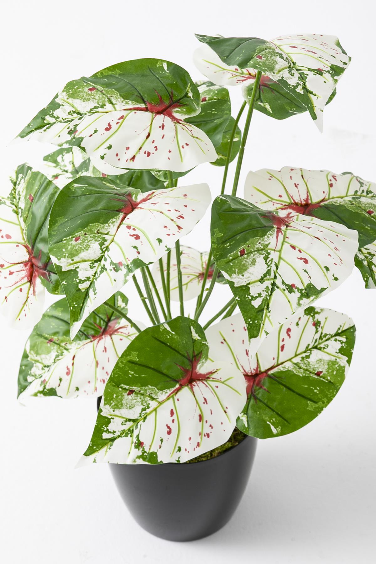 Yapay Salon Köşe Çiçeği Devetabanı Yeşil Pembe 65 Cm