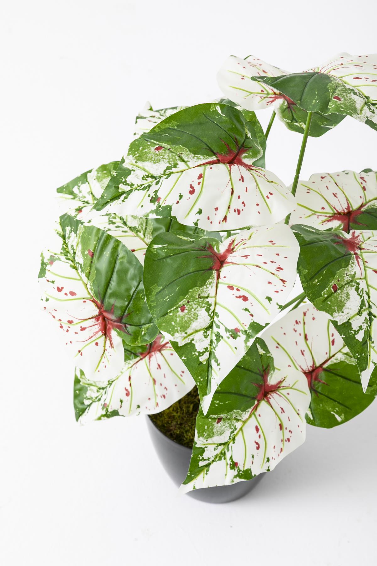 Yapay Salon Köşe Çiçeği Devetabanı Yeşil Pembe 65 Cm